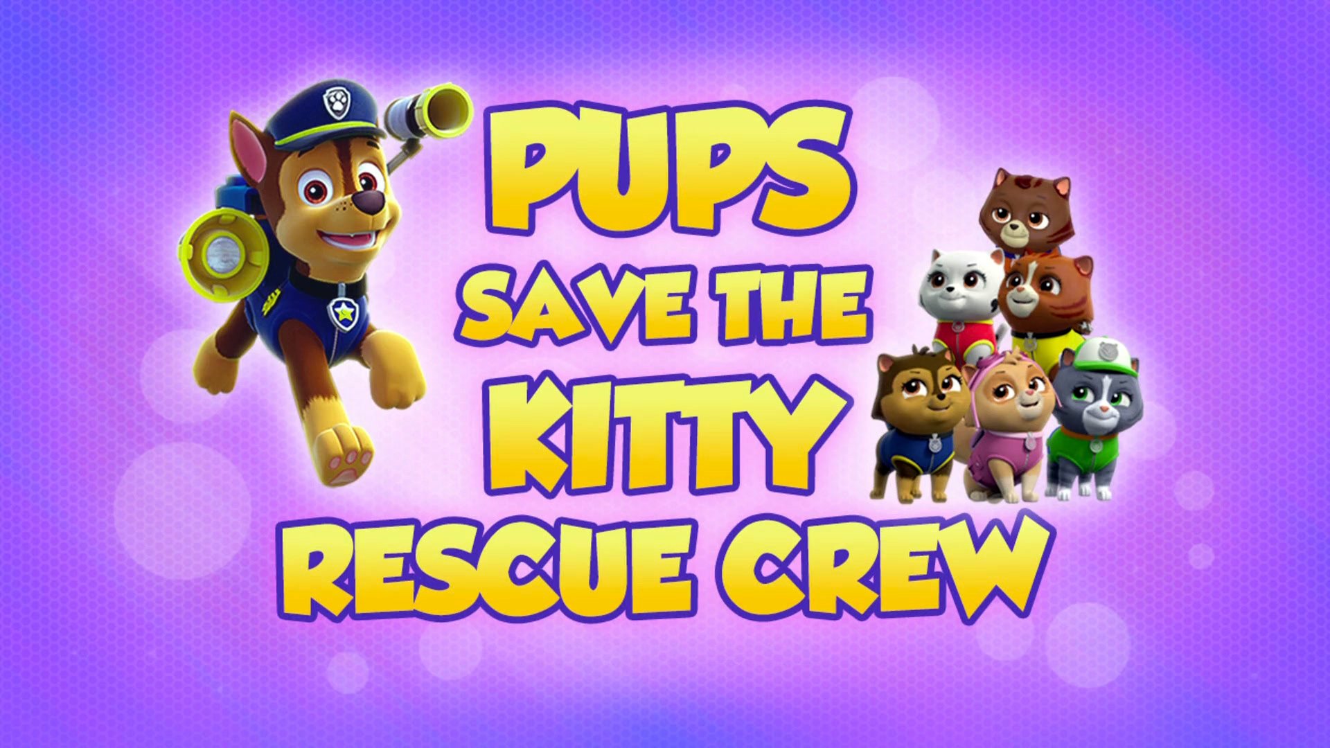 Episode 1 - I cuccioli salvano la squadra di salvataggio dei gattini