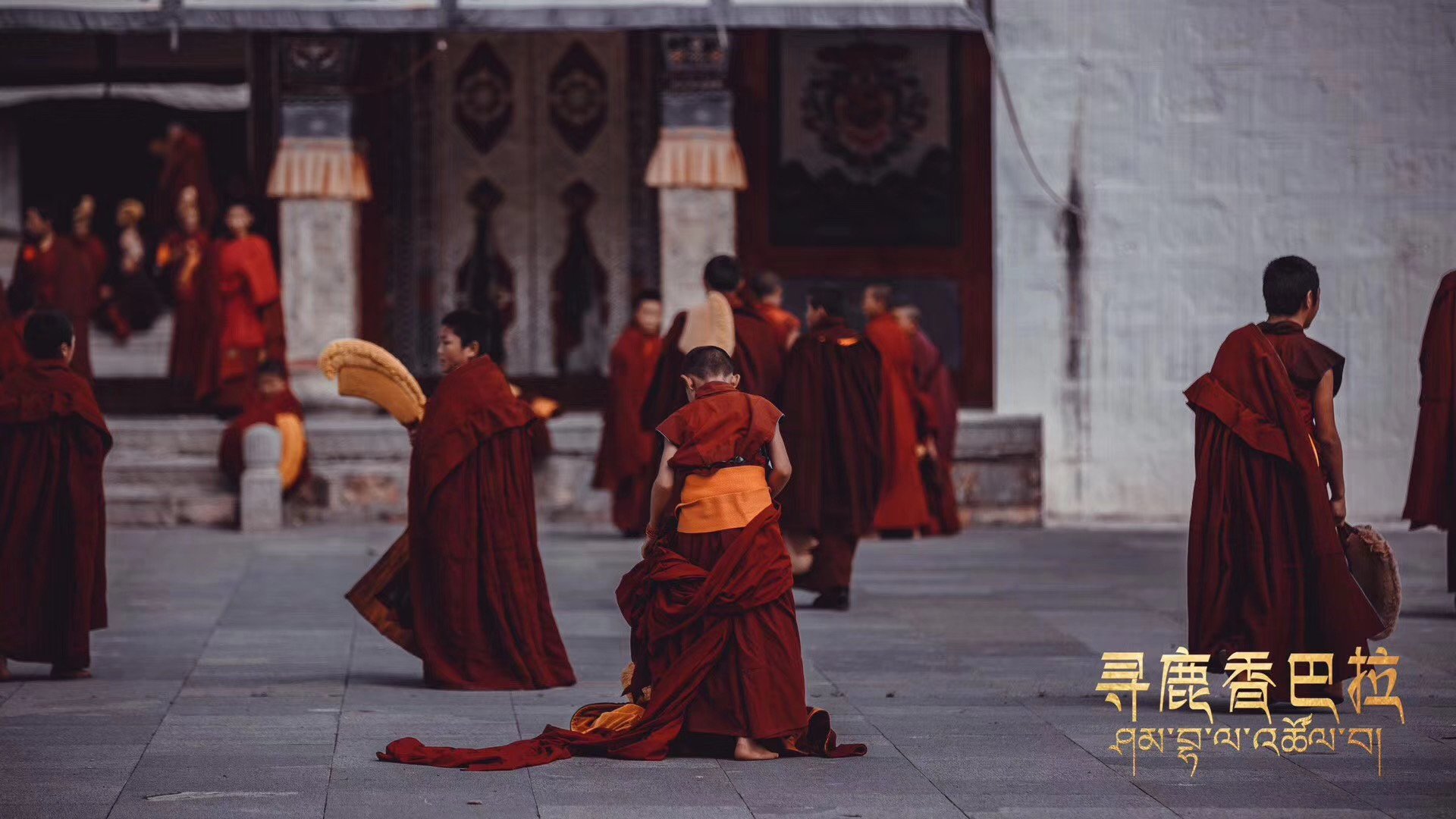 寻鹿香巴拉
