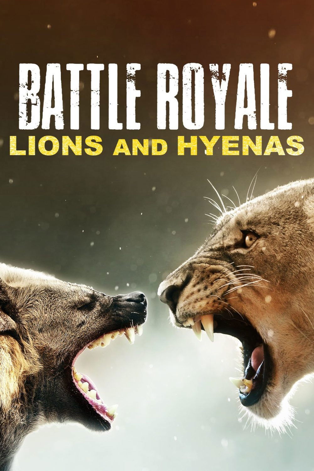 Battle Royale: Lions and Hyenas