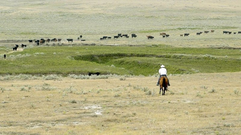 Les parcs nationaux canadiens - Prairies