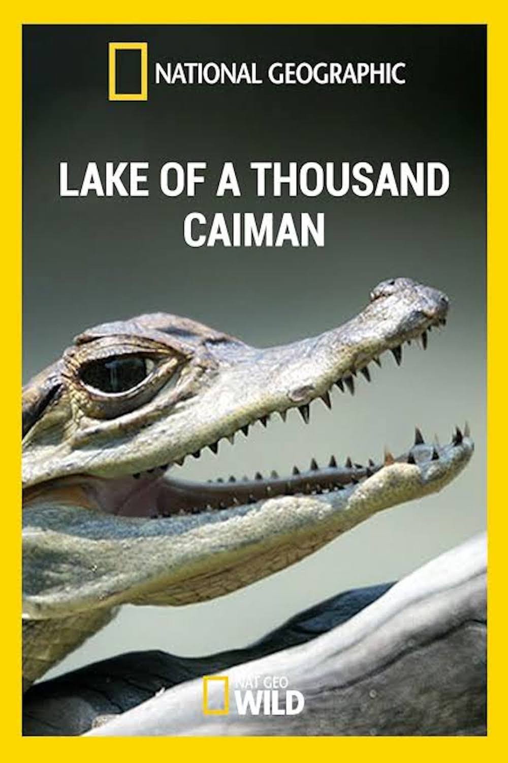 Lake of A Thousand Caiman