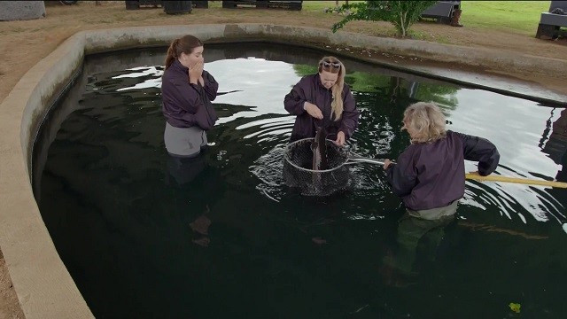 Thumbnail for Episode 5 Season 1 Episode 5