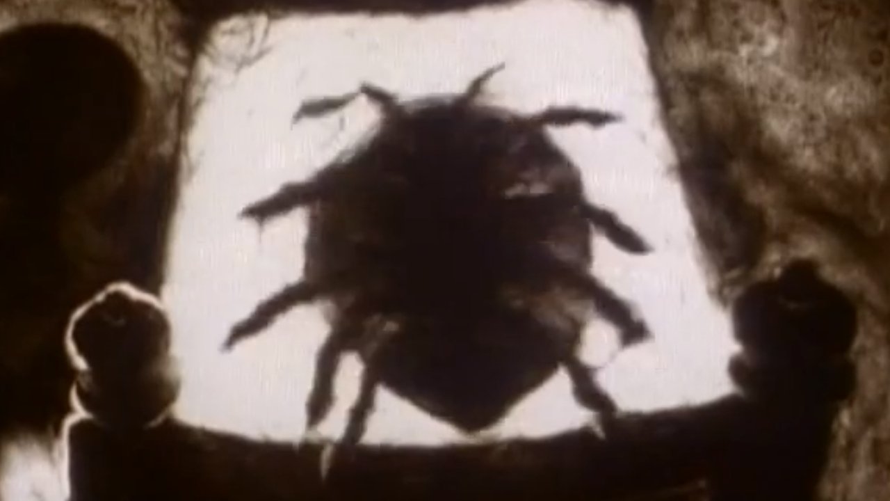 The Metamorphosis of Mr. Samsa (1978)