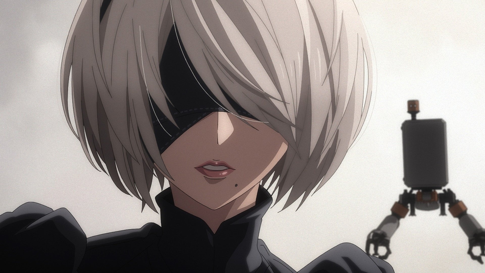 NieR:Automata Ver1.1a