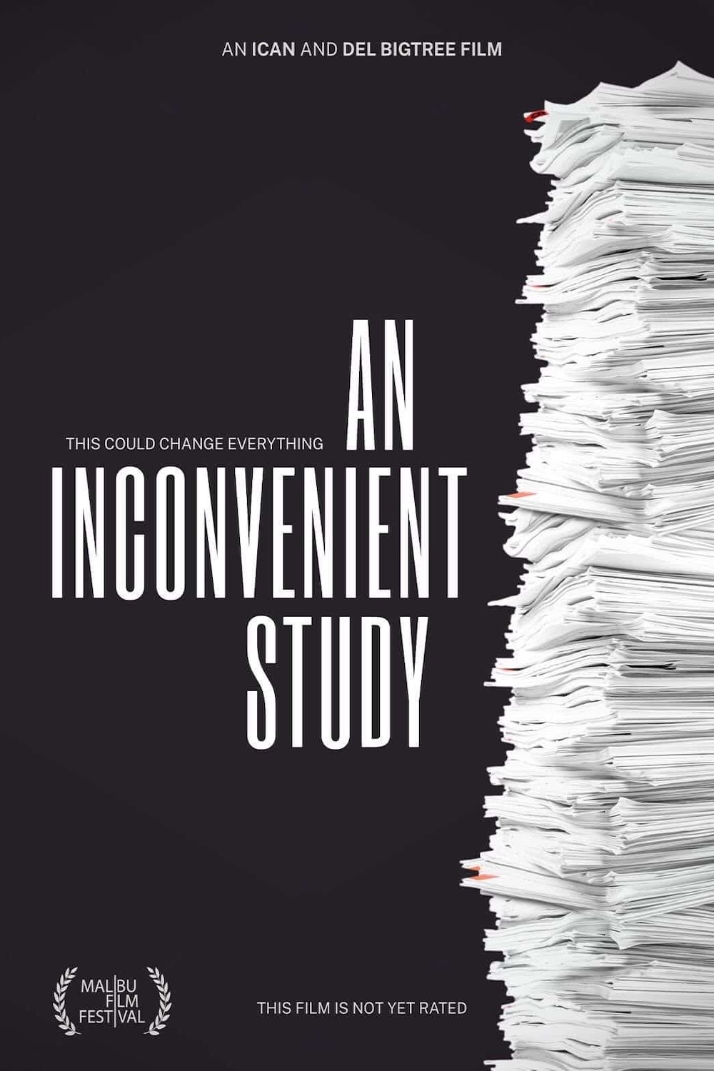 poster movie AN INCONVENIENT STUDY