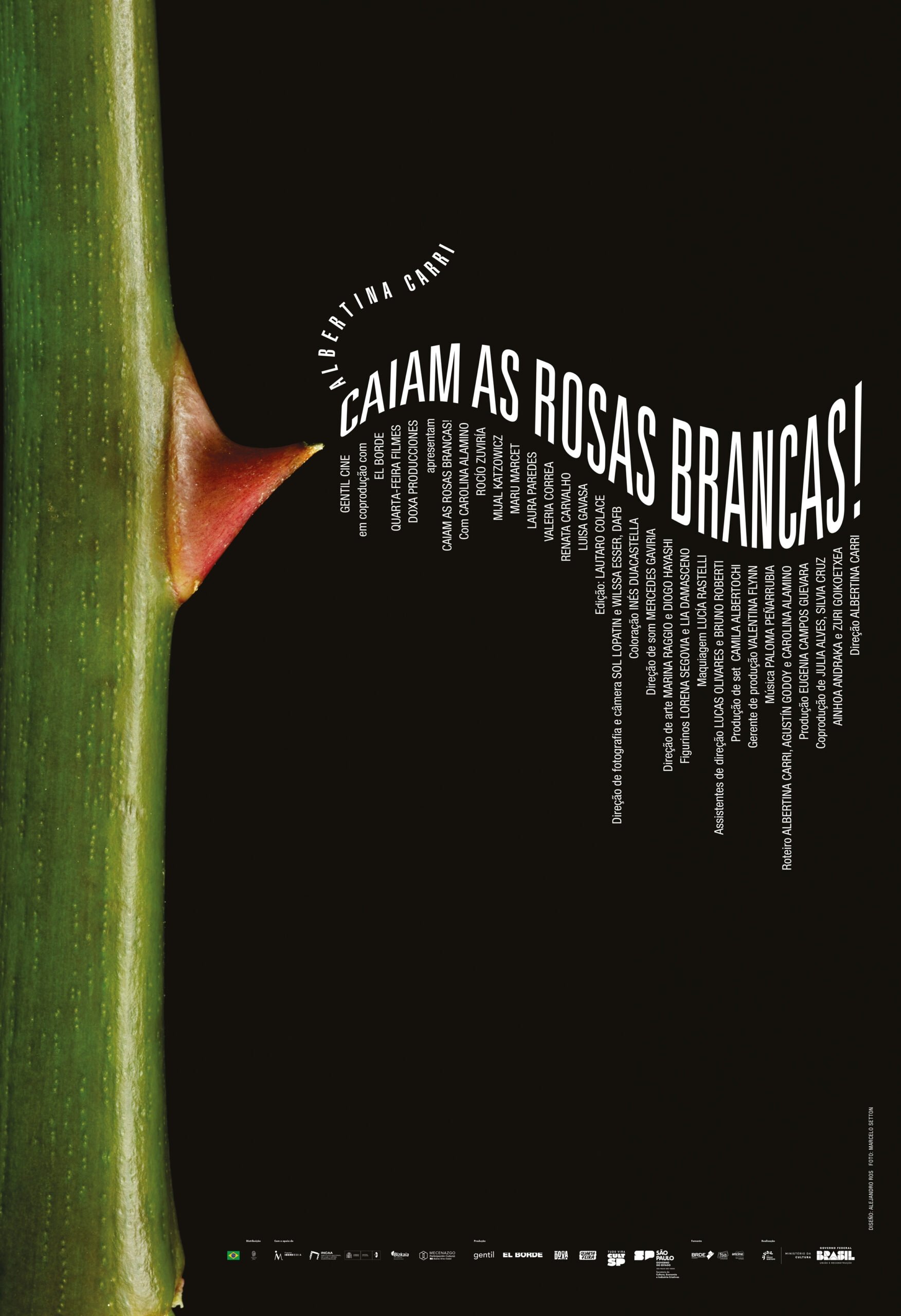 Caiam as Rosas Brancas! Caiam as Rosas Brancas!