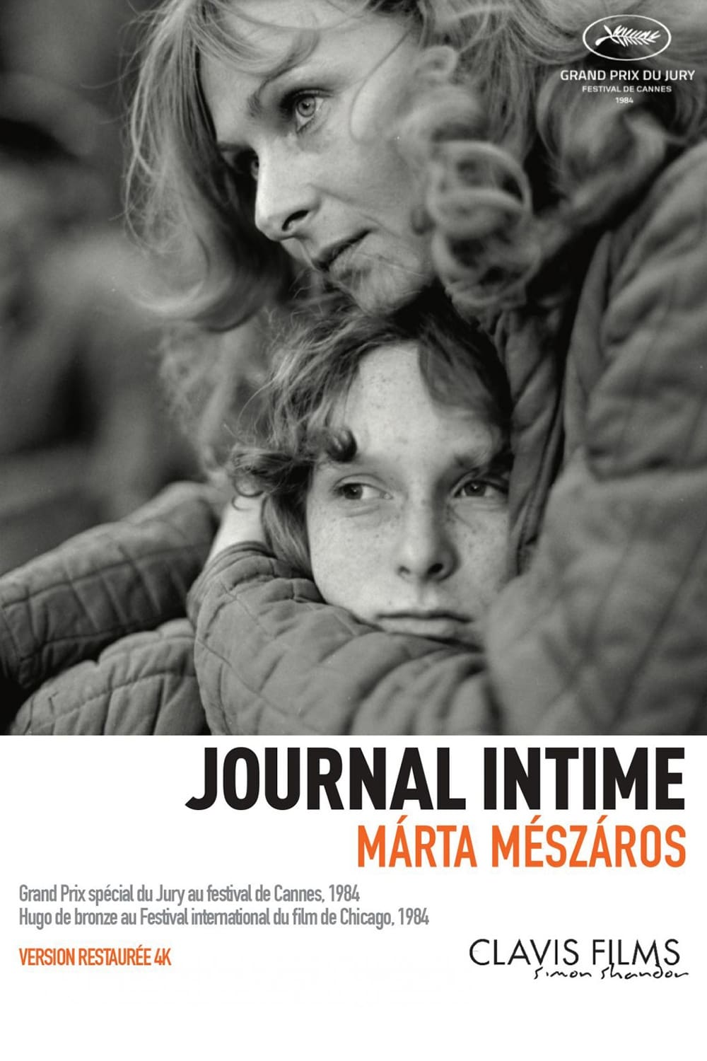 Affiche du film Journal Intime 87411