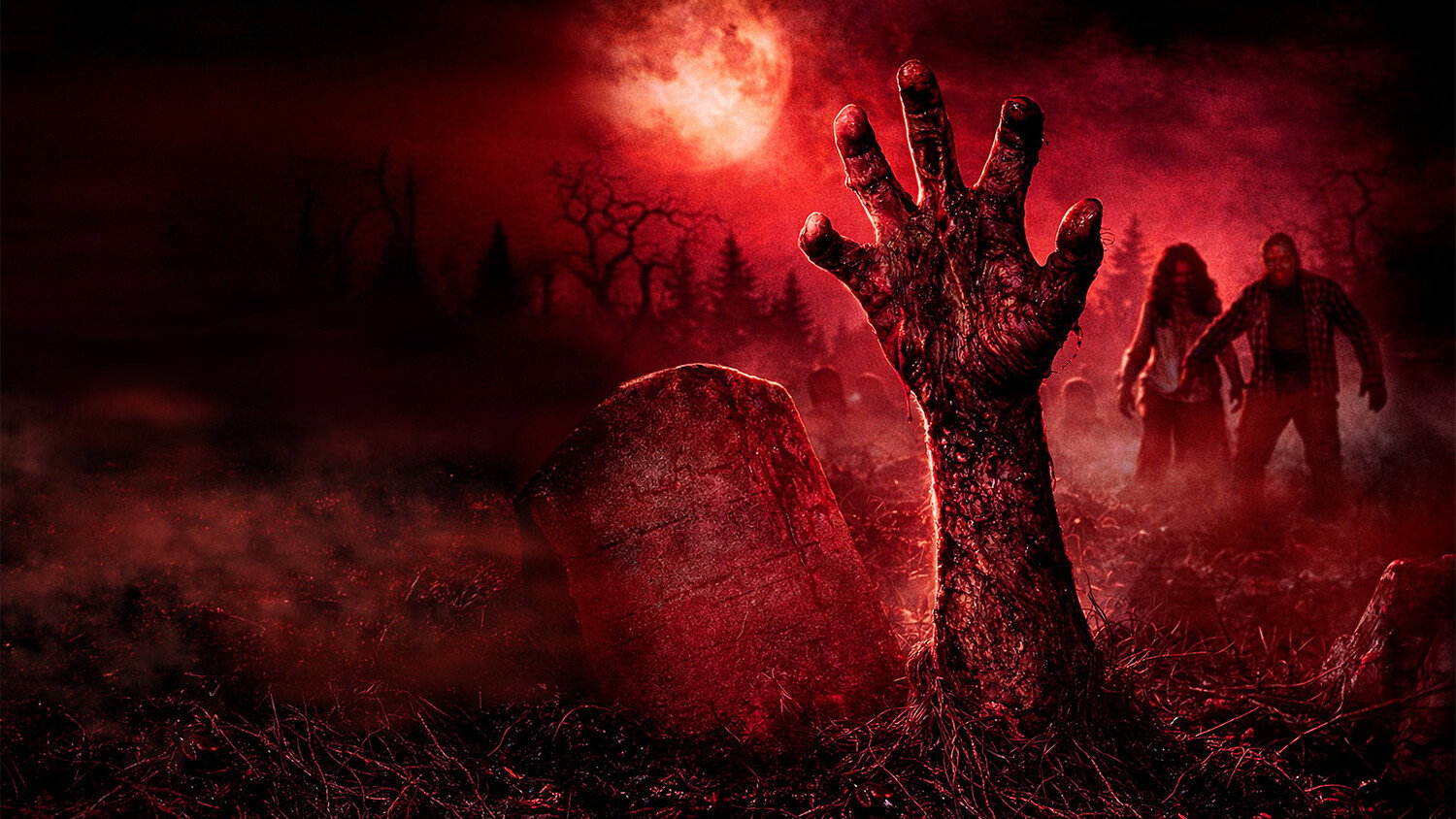 Night of the Living Dead 3D - Collection