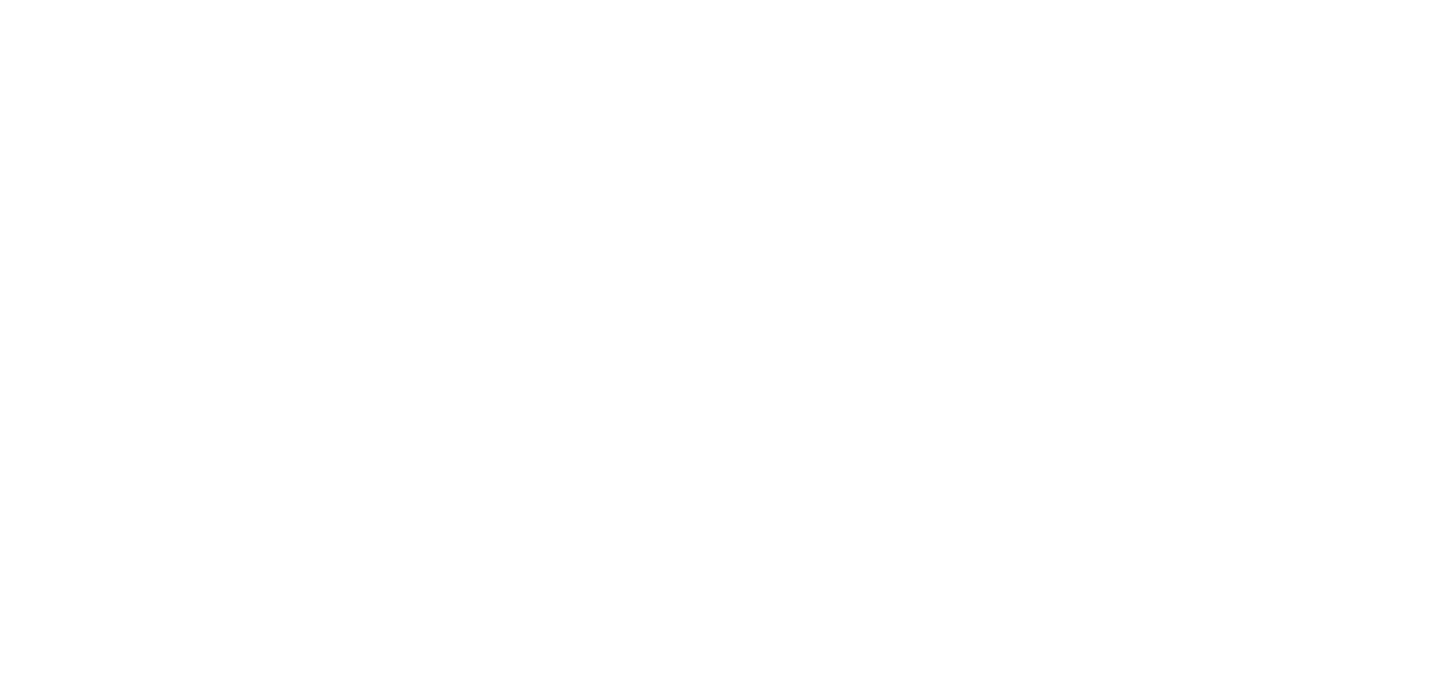 The Cleaning Lady Logo