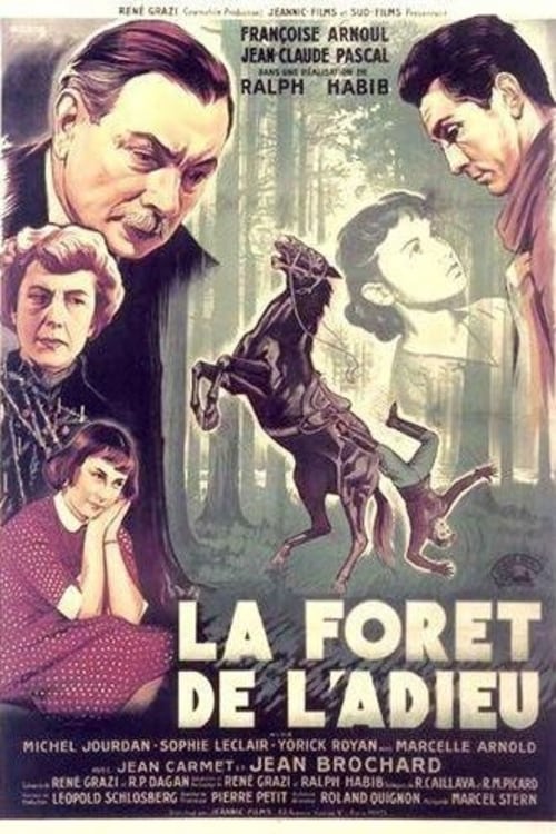 Affiche du film La Forêt de l'adieu 182899