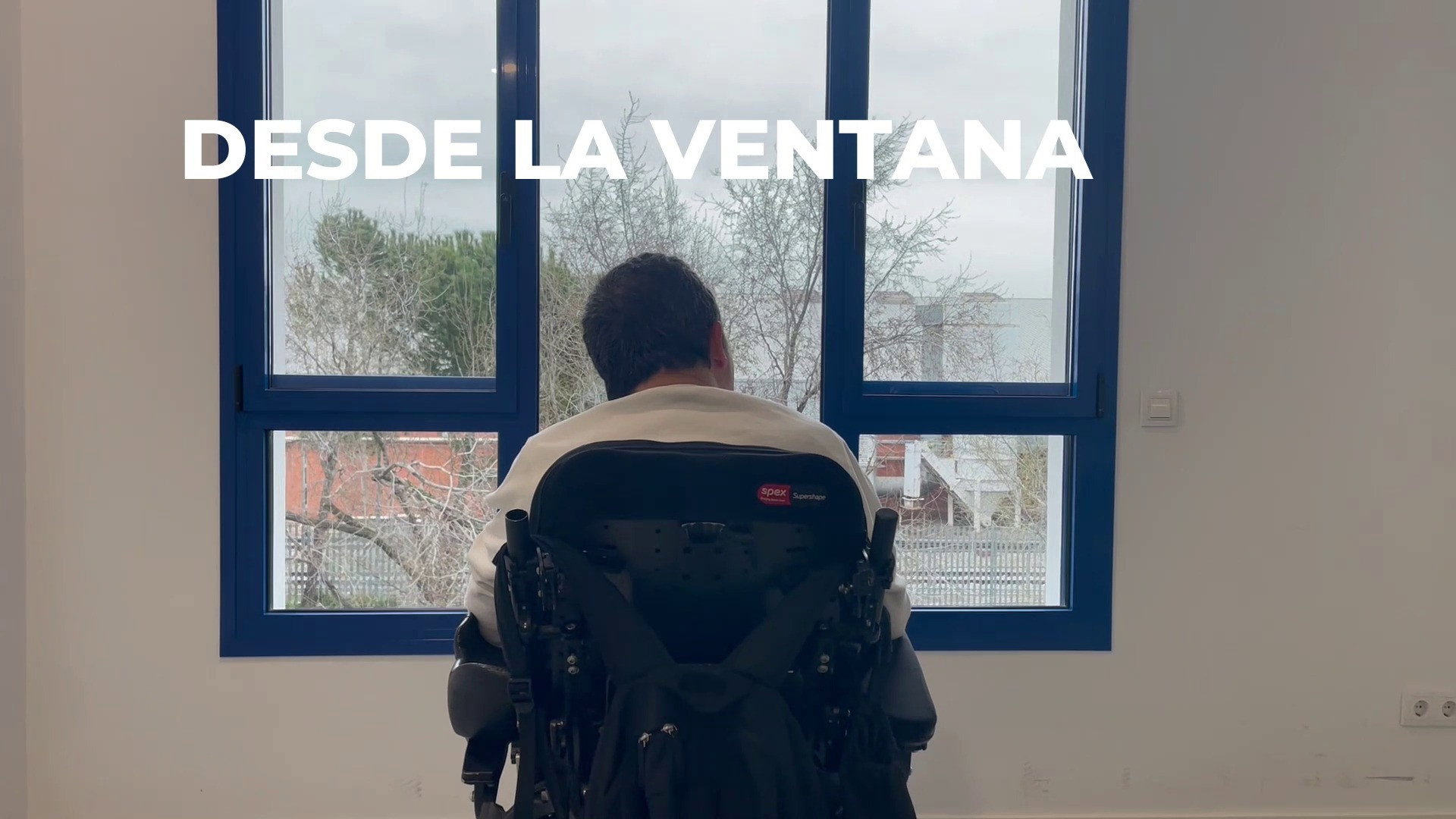 Desde la ventana
