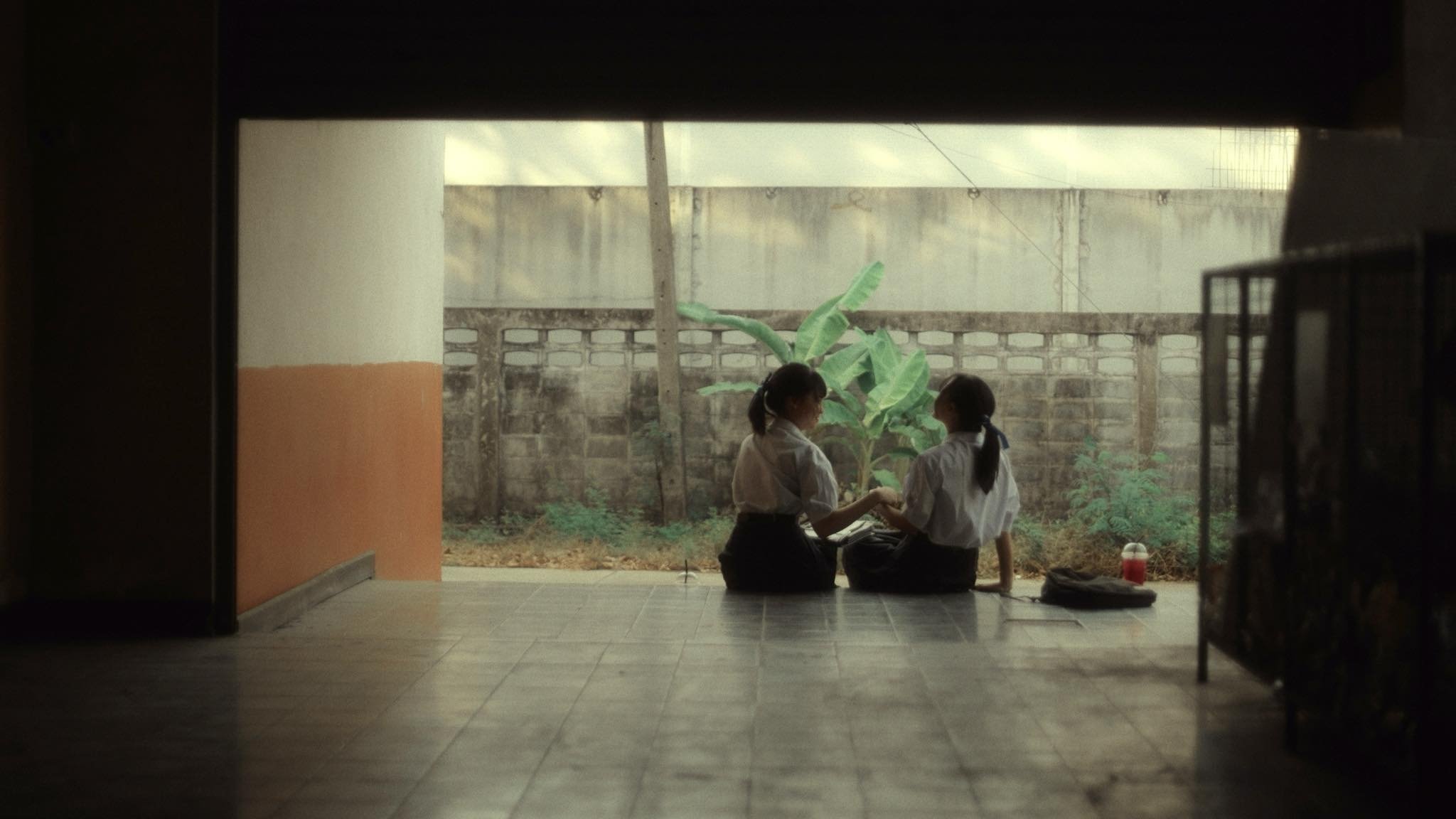 Crayon (2024)