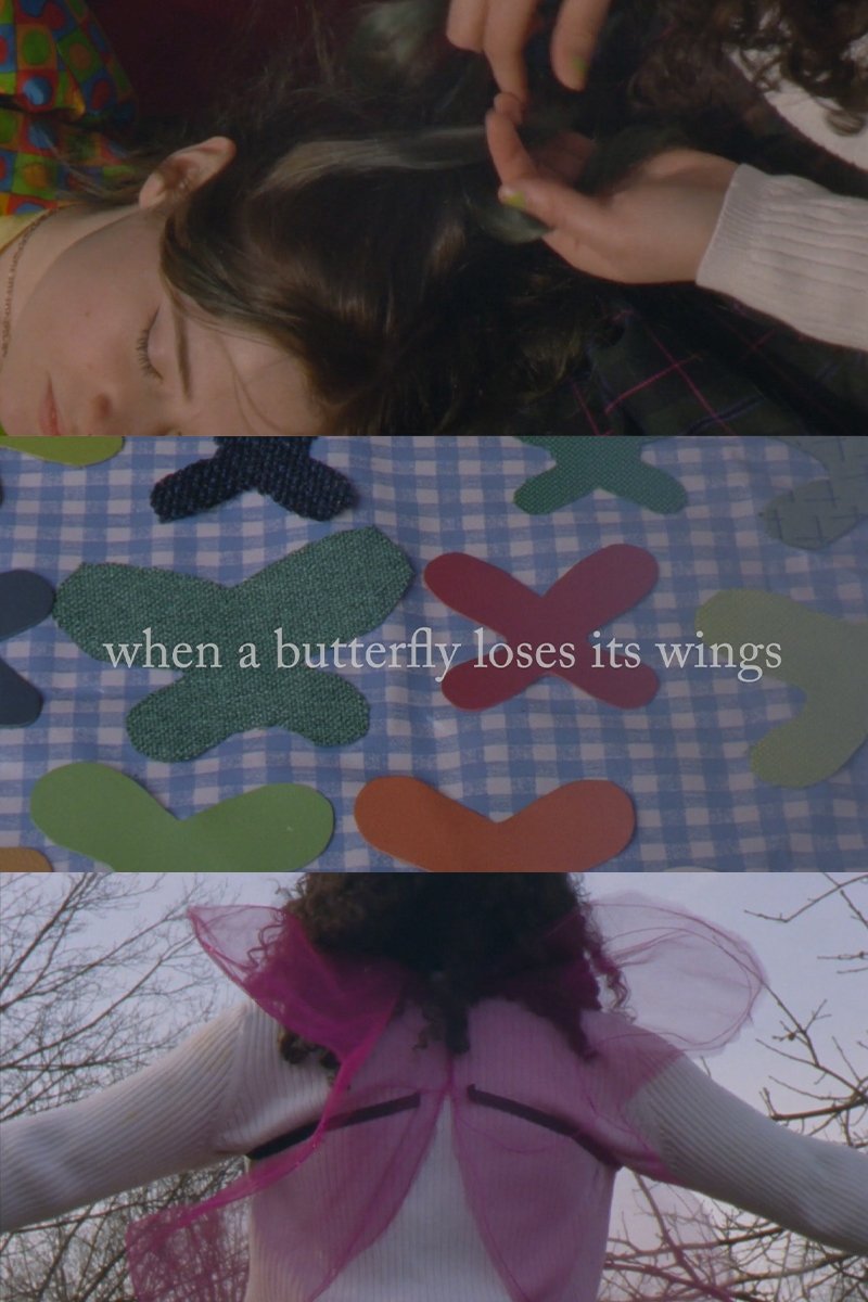 When A Butterfly Loses Its Wings When A Butterfly Loses Its Wings