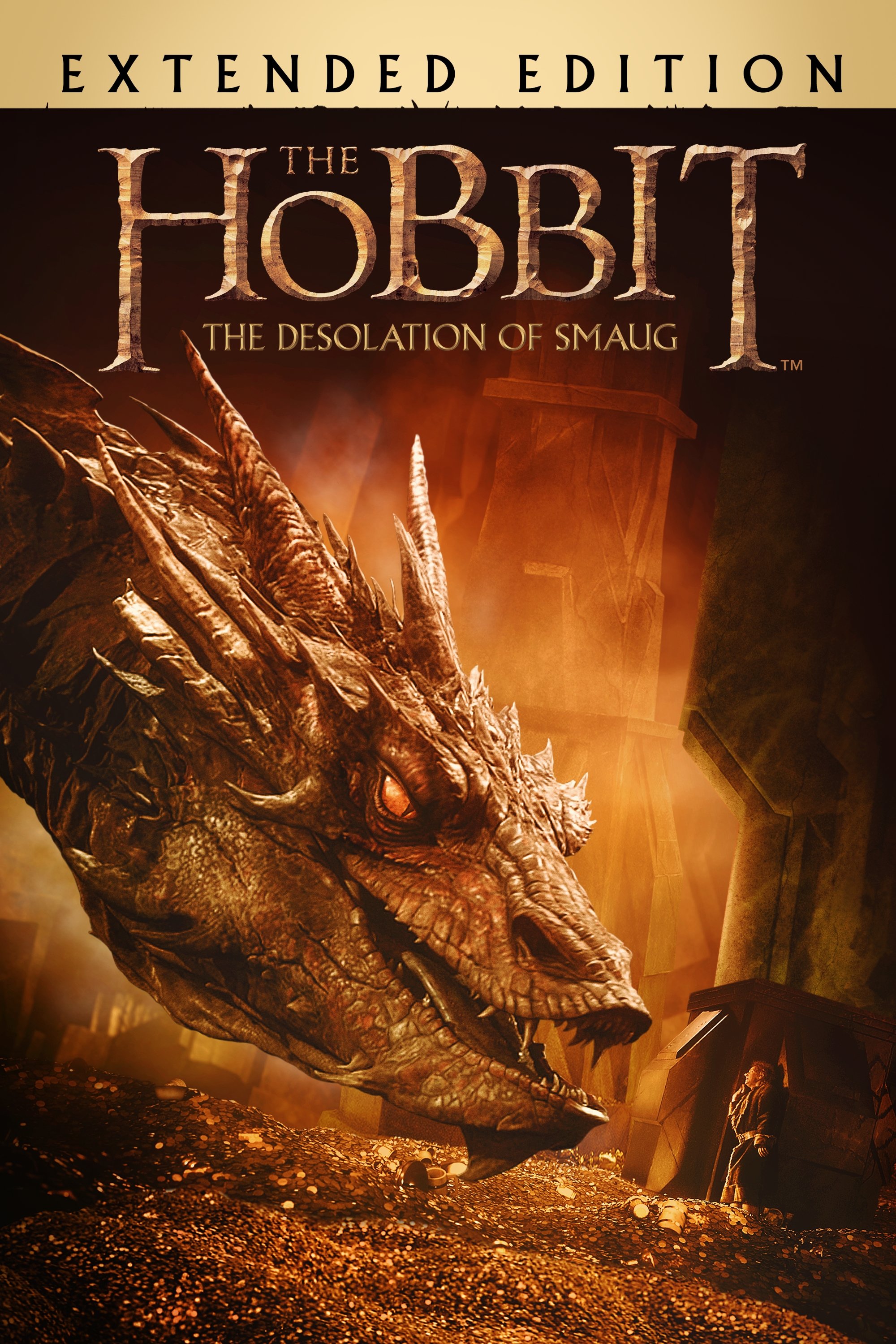 The Hobbit: The Desolation of Smaug