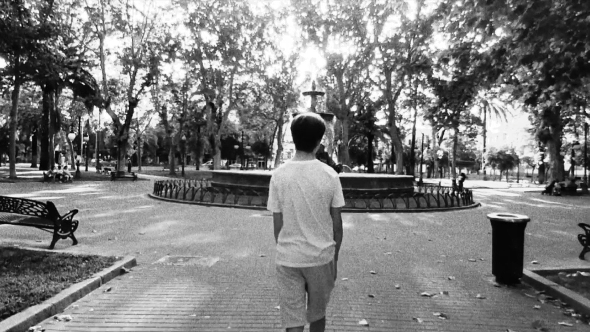 Le palmier qui ne palme pas