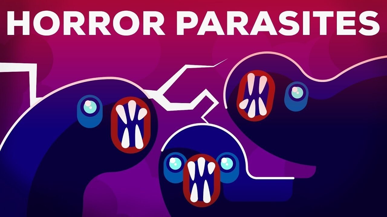 Kurzgesagt - In a Nutshell