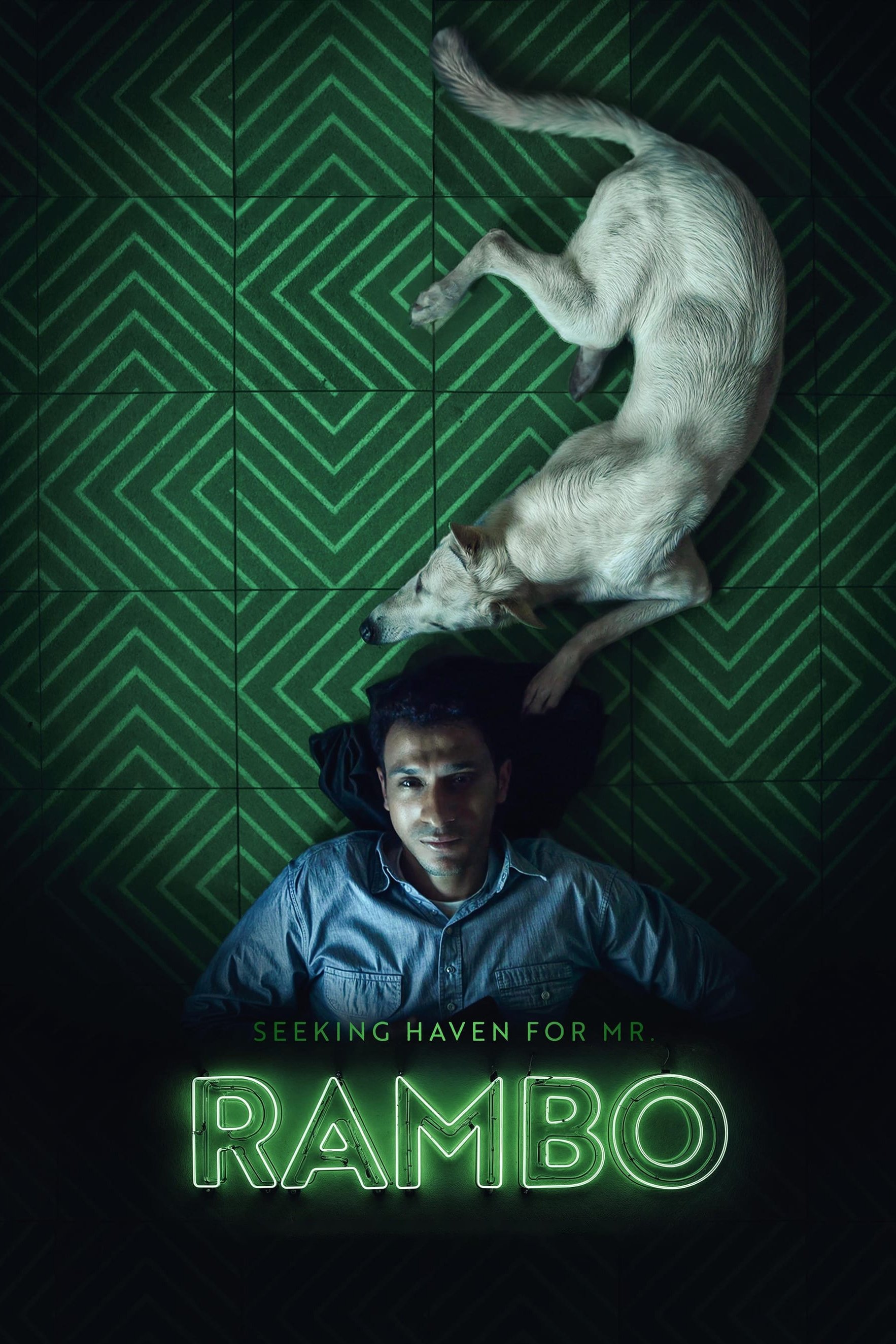 Seeking Haven for Mr. Rambo