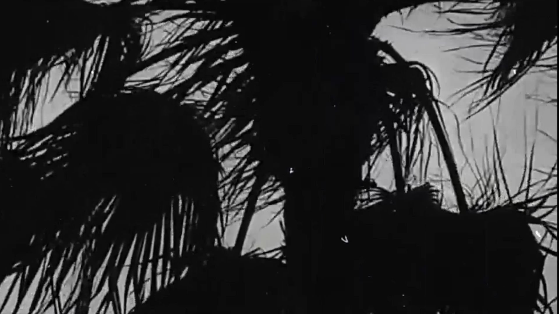 Imagem do Filme Pretty Ugly