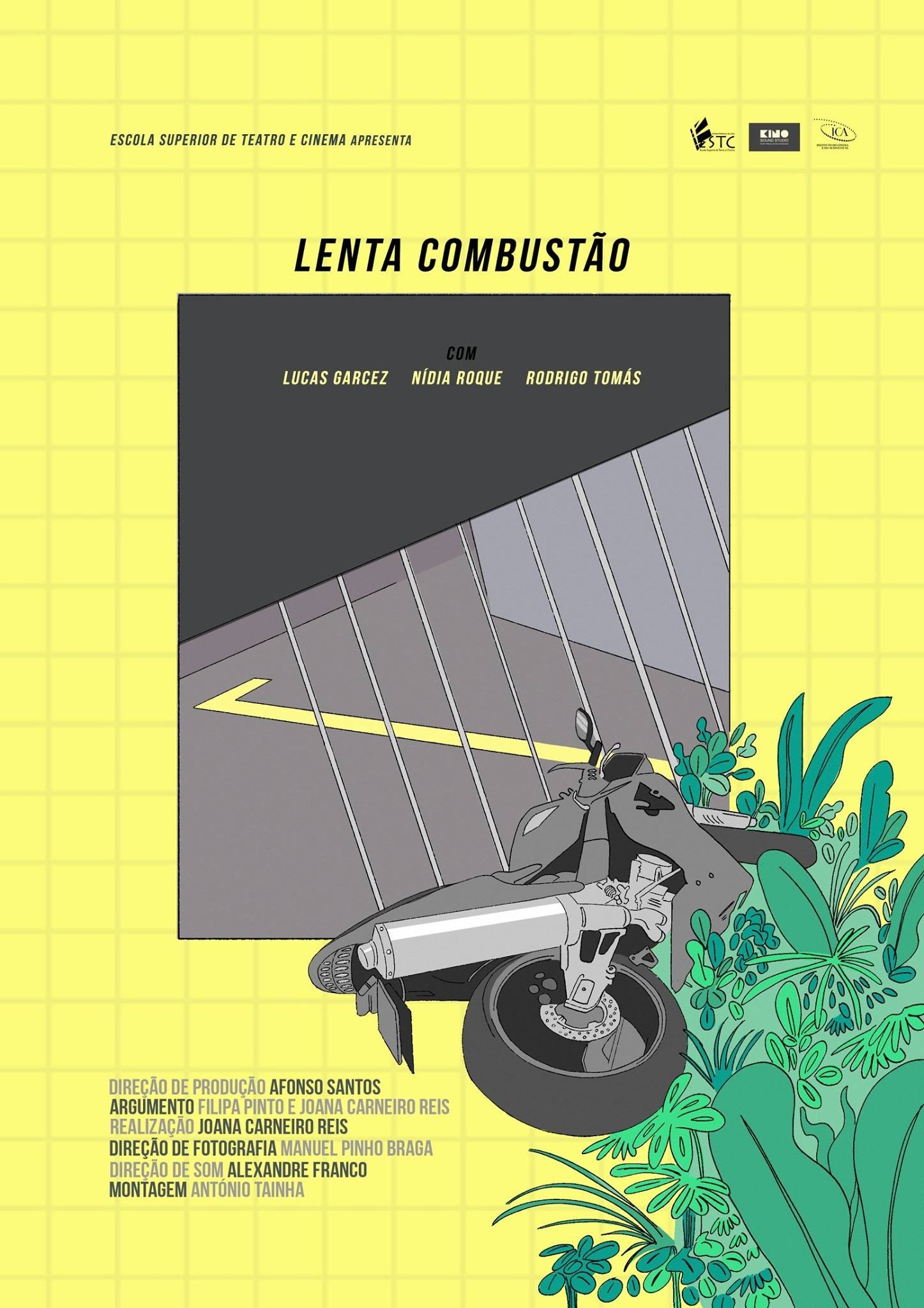 Lenta Combustão Lenta Combustão