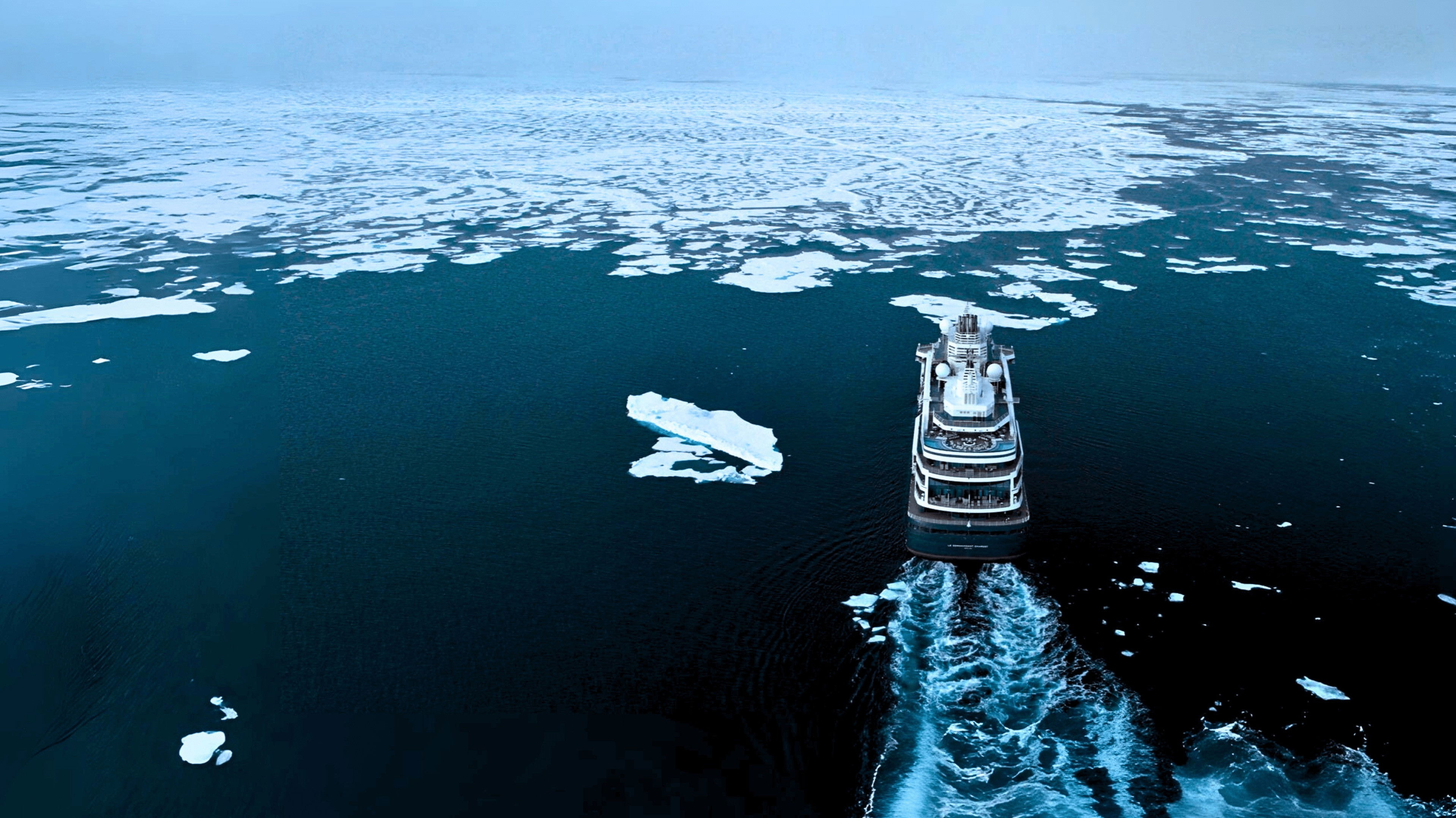 Chuck Norris: Private Lesson backdrop image