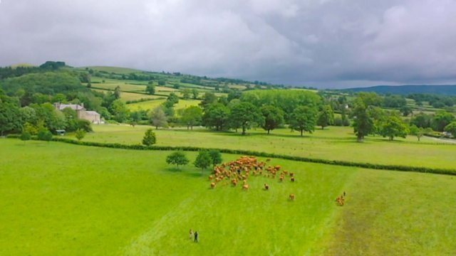 Countryfile 33x29