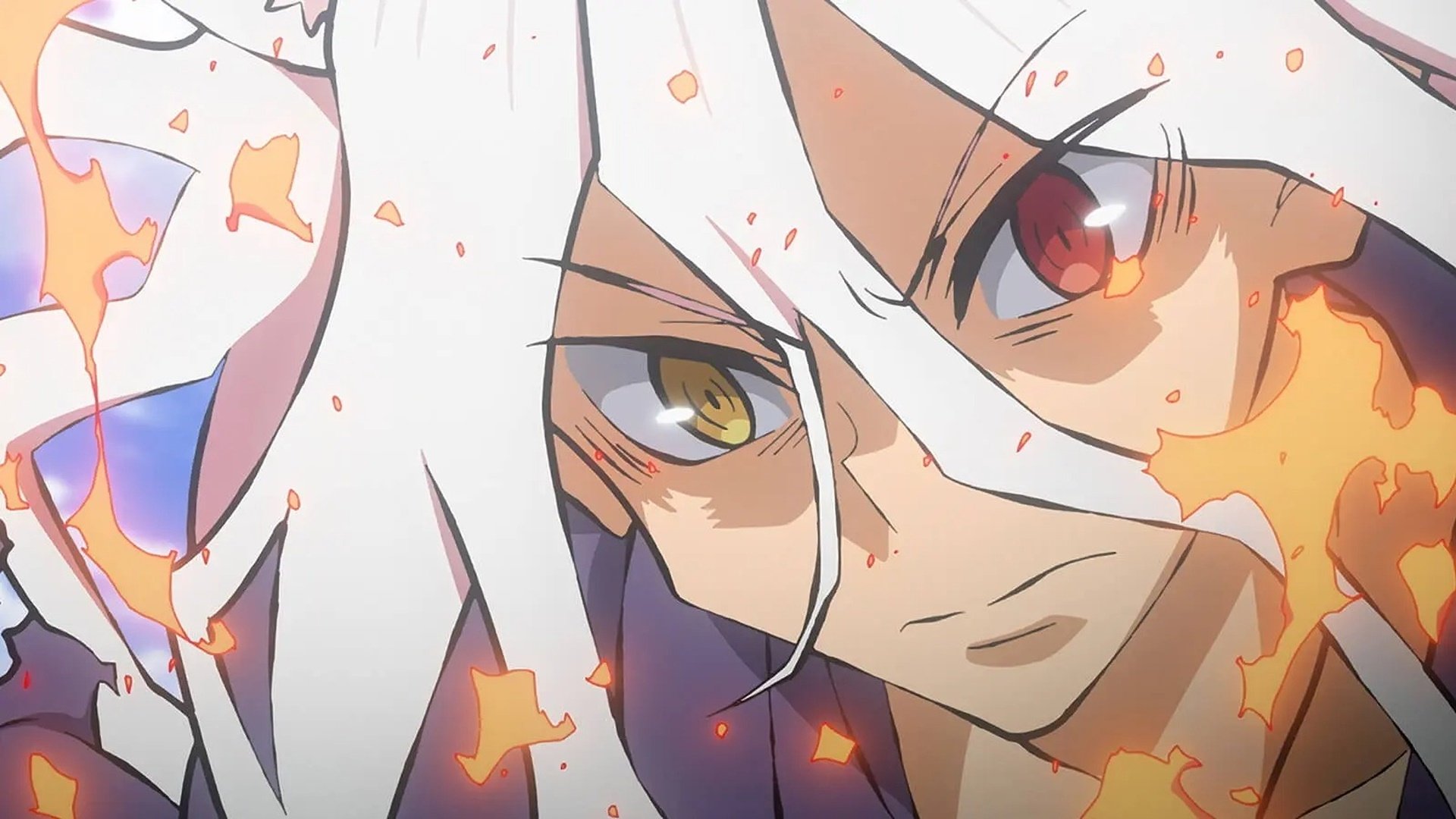 Sengoku Youko
