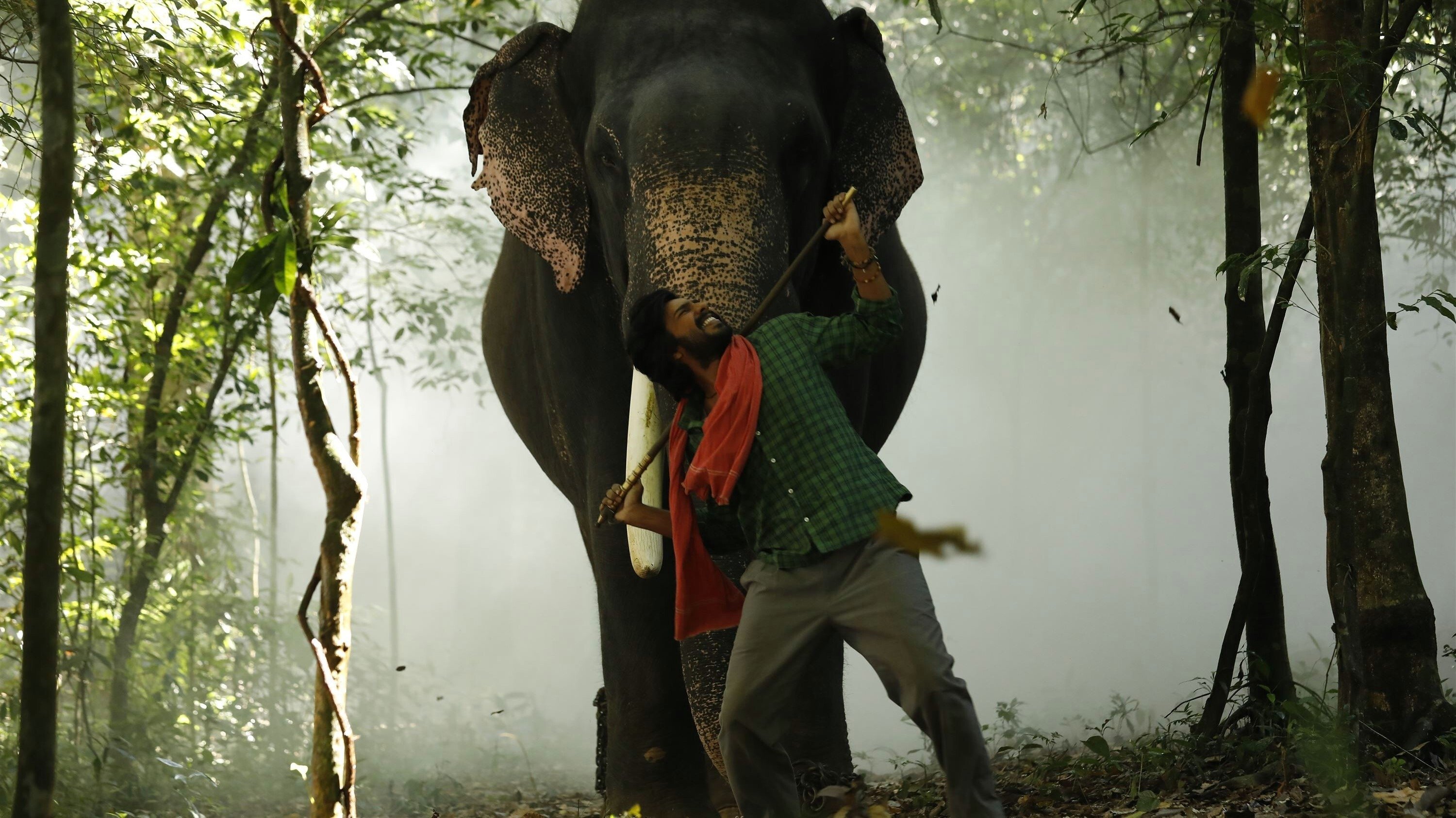 Haathi Mere Saathi (2021) AZ Movies