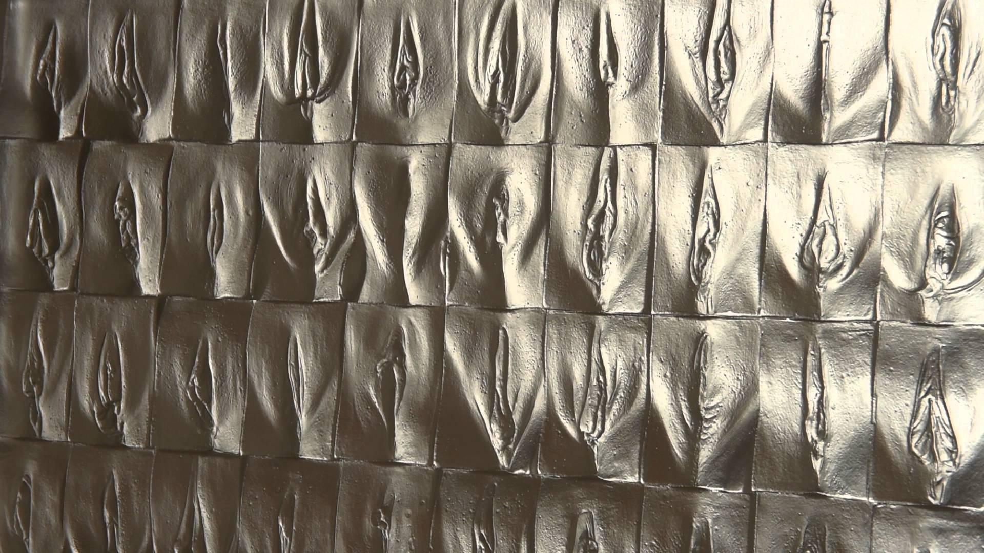 The Perfect Vagina (2008)