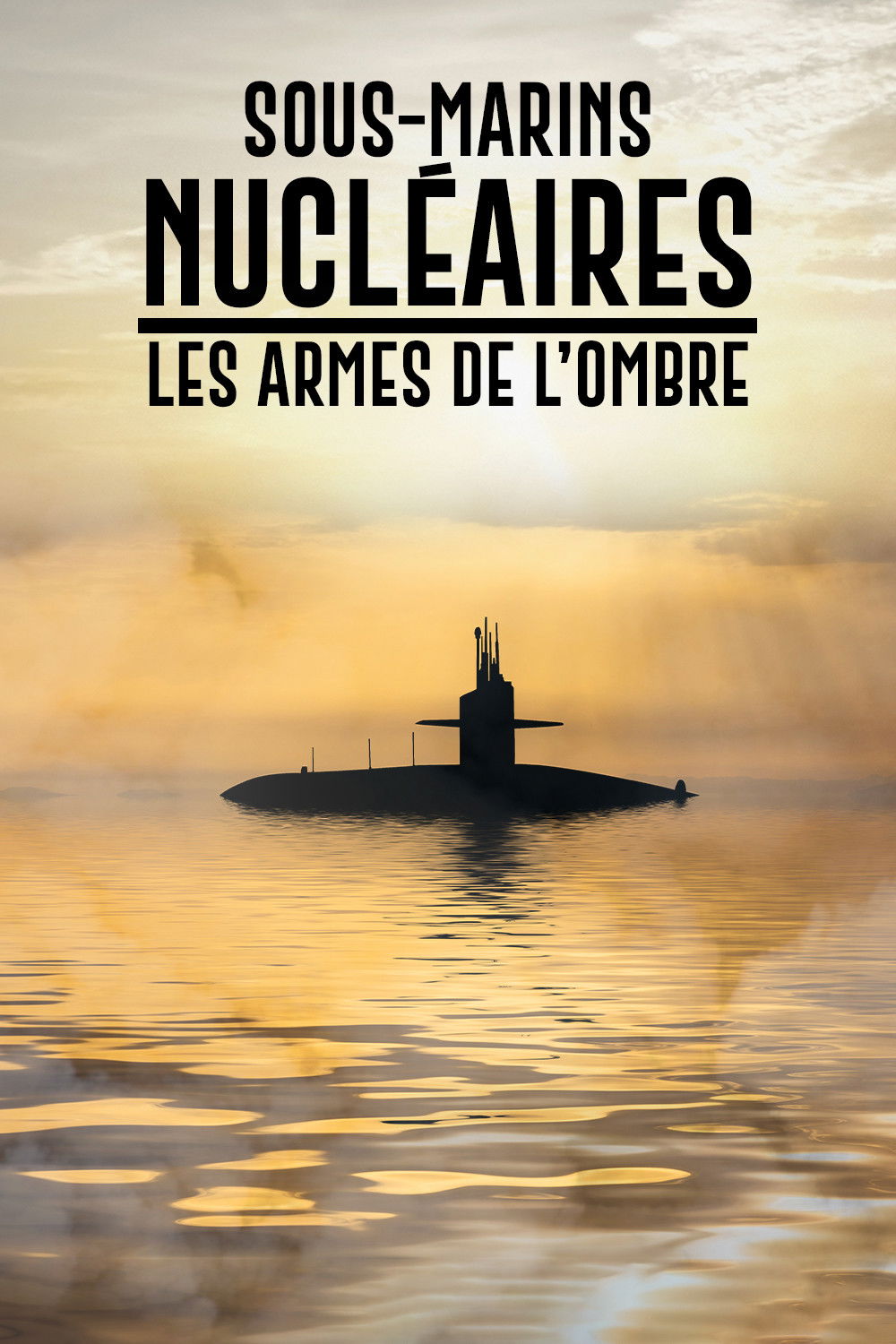 Sous-marins nucl&eacute;aires  : Les Armes de l'ombre