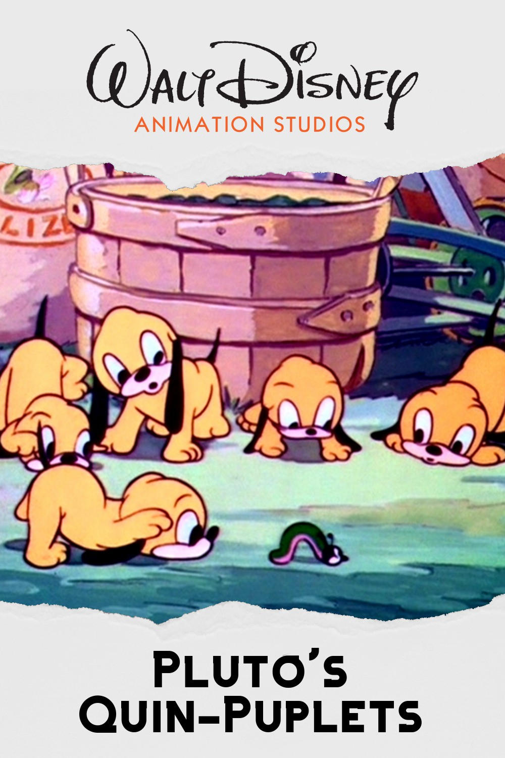 Pluto's Quin-puplets