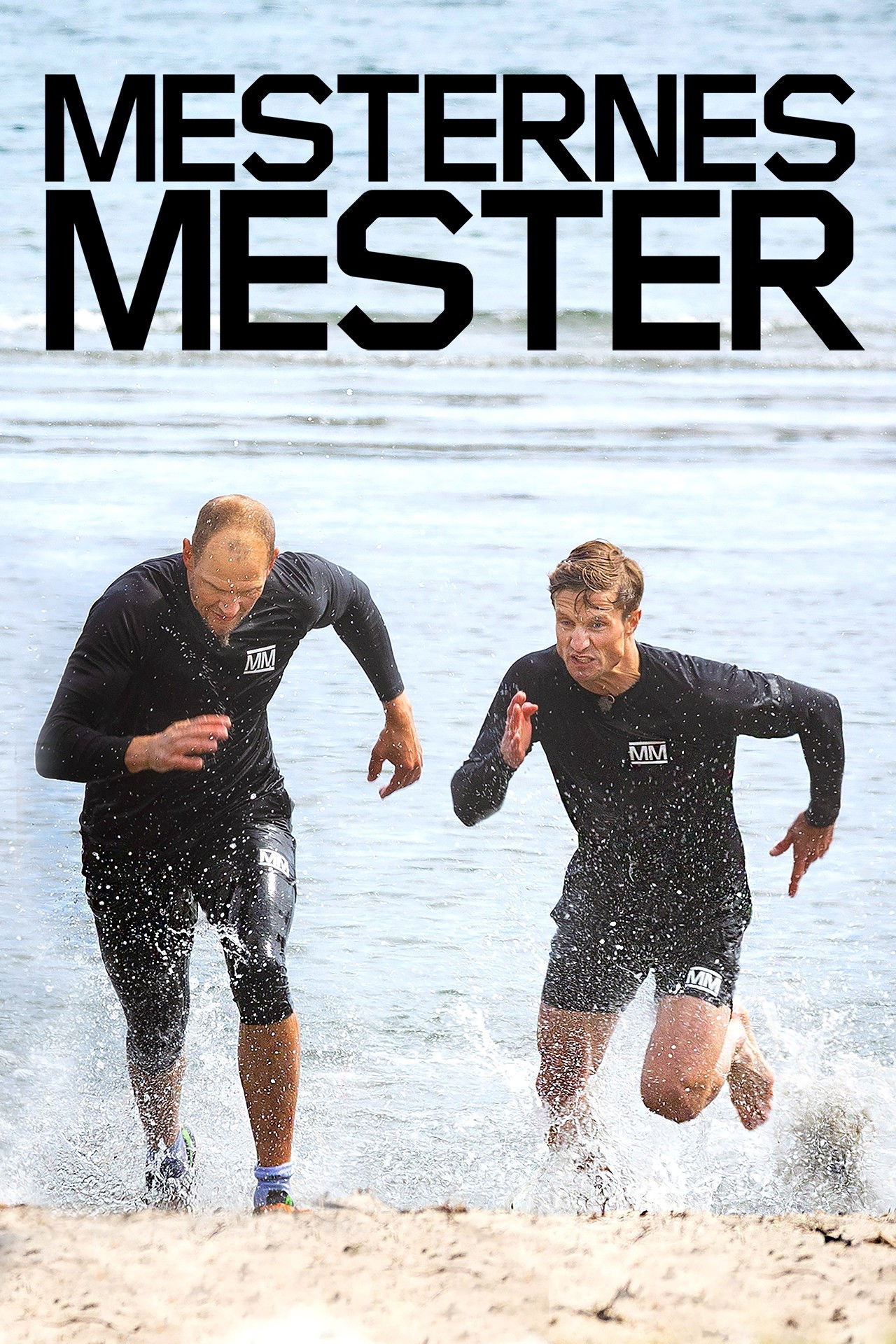 Mesternes mester - Season 14