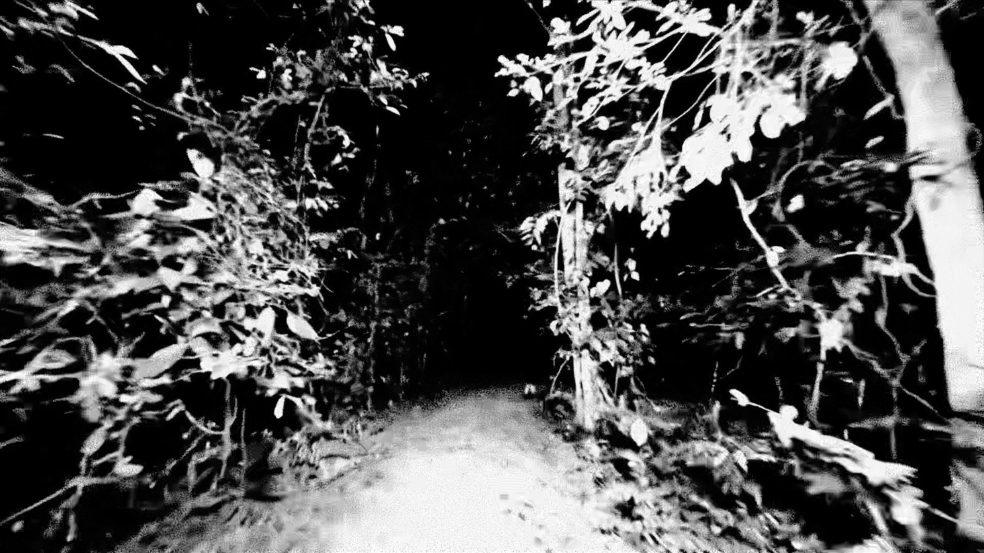 Purgatory for Epiphanea