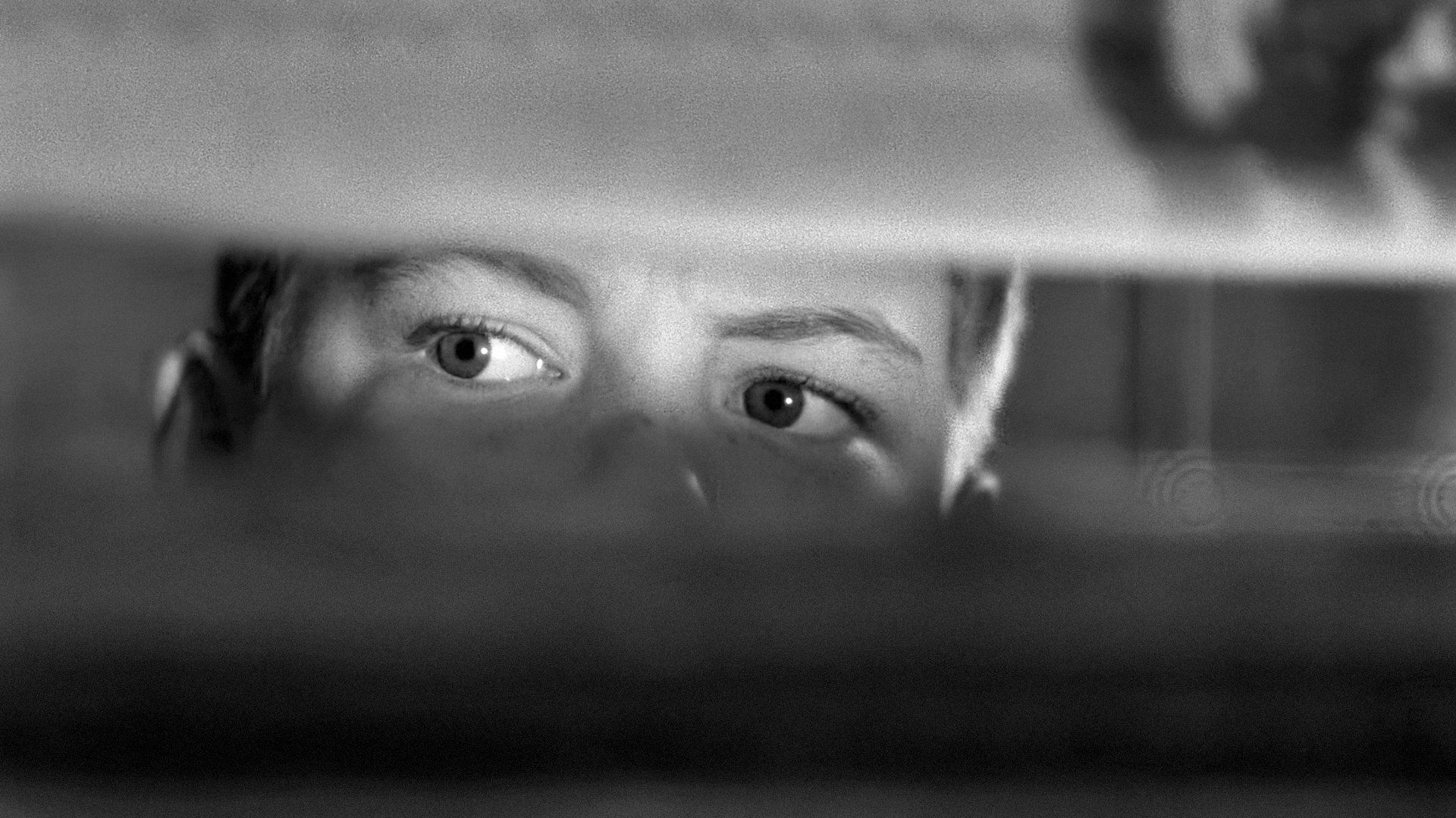 The Window (1949)