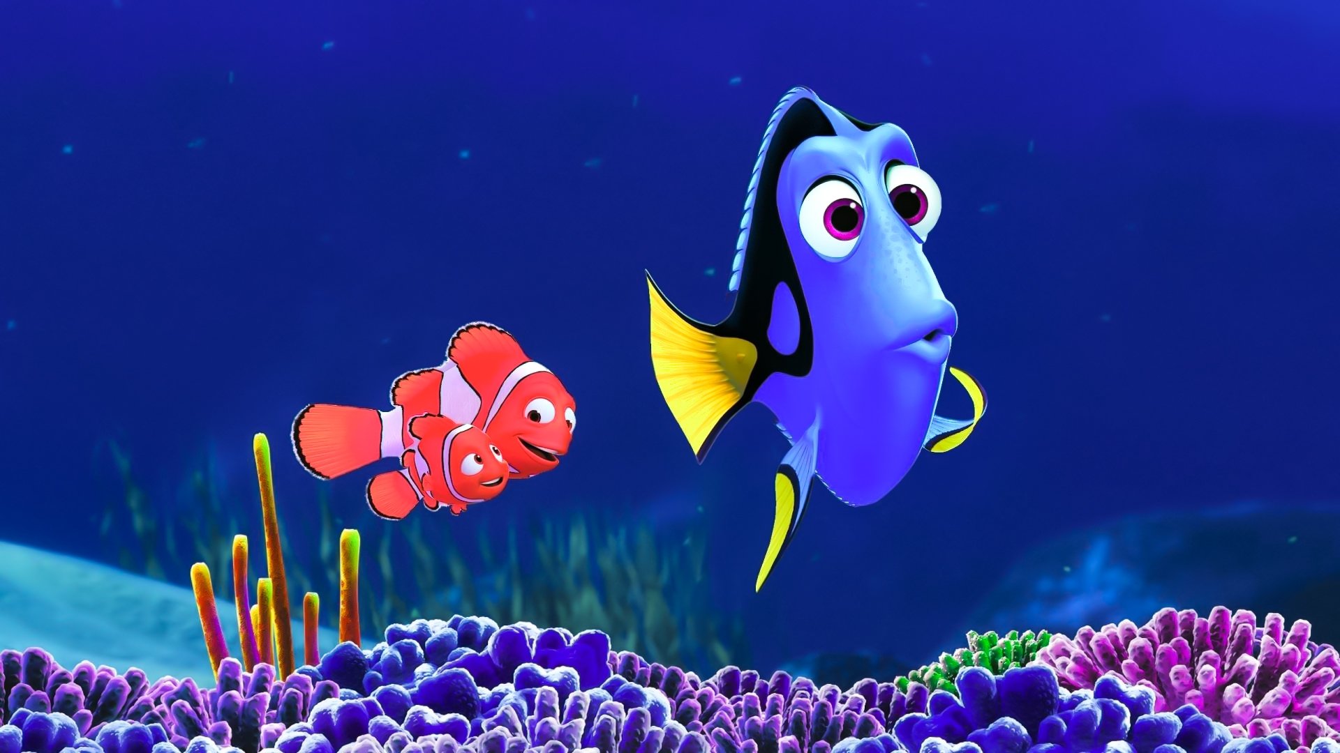 Alla ricerca di Dory