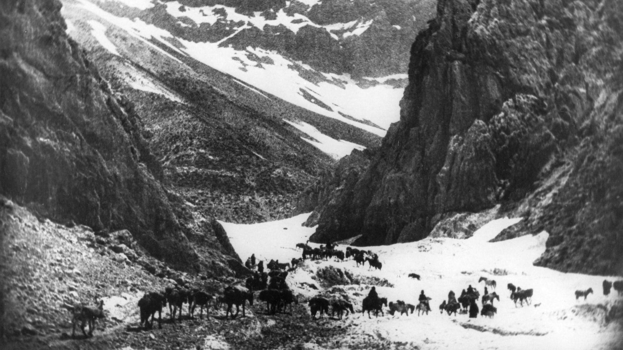 Grass: A Nation's Battle for Life (1925)
