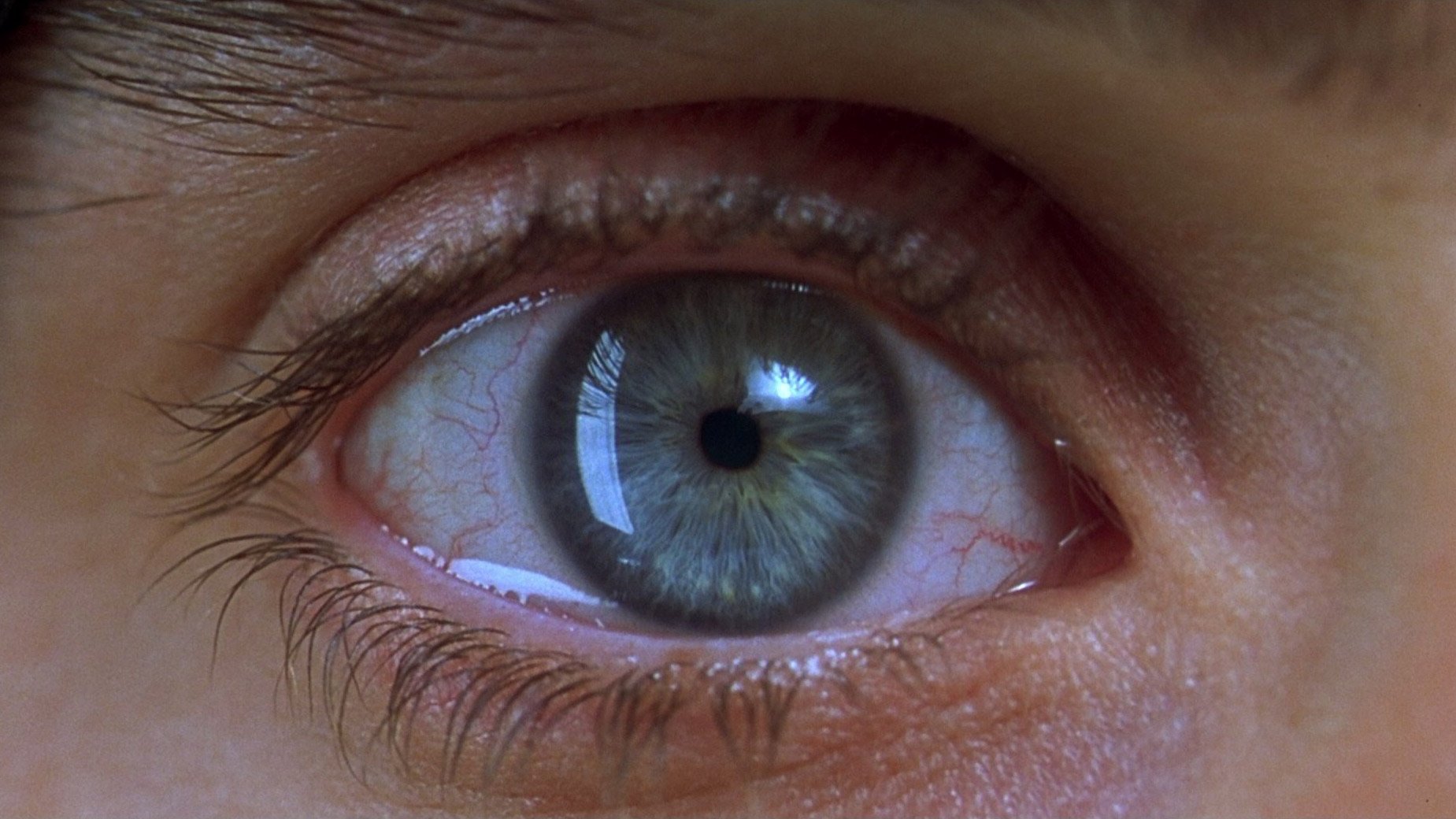 Image du film Requiem for a Dream pmkjldzwpulgjwnom1doabzvnarjpg