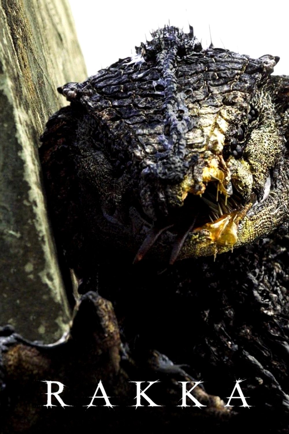 Rakka