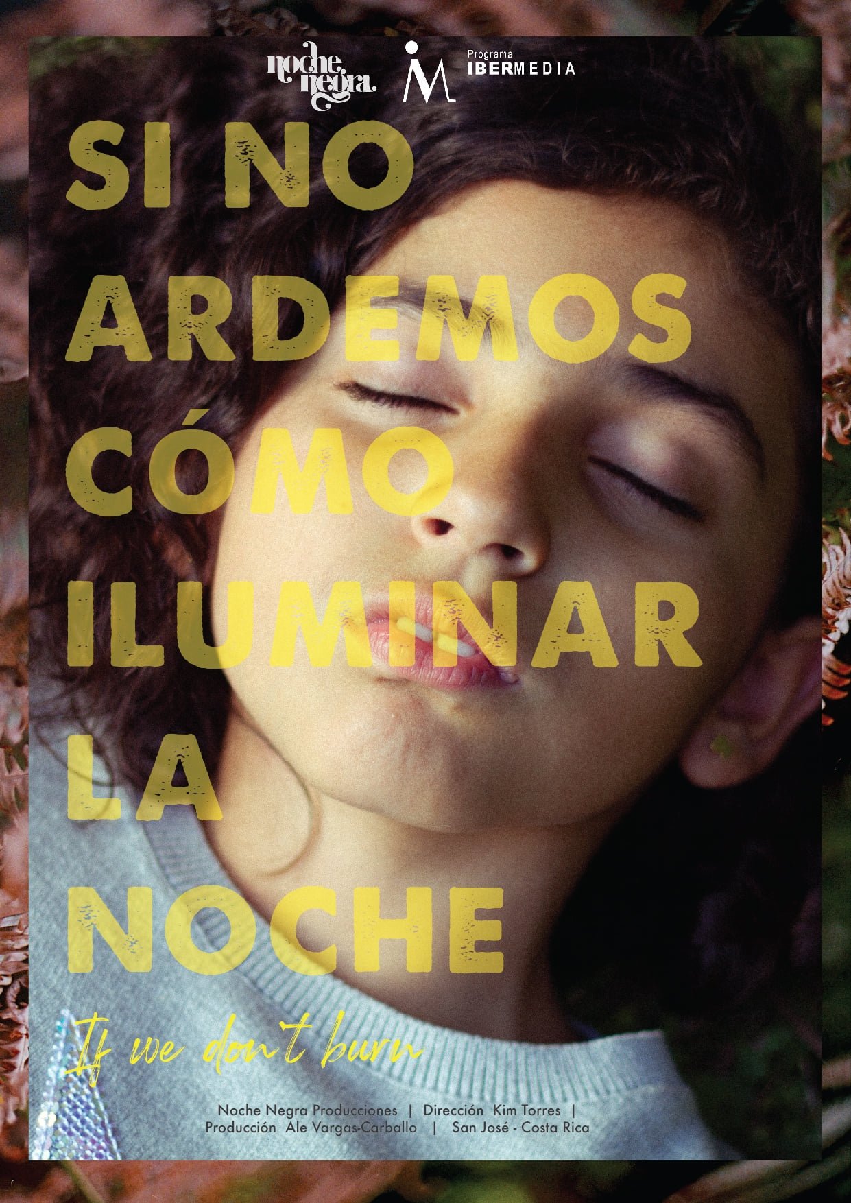 Si no ardemos, cómo iluminar la noche Si no ardemos, cómo iluminar la noche
