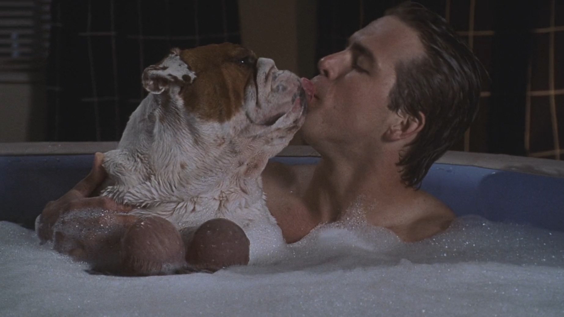 National Lampoon's Van Wilder (2002)