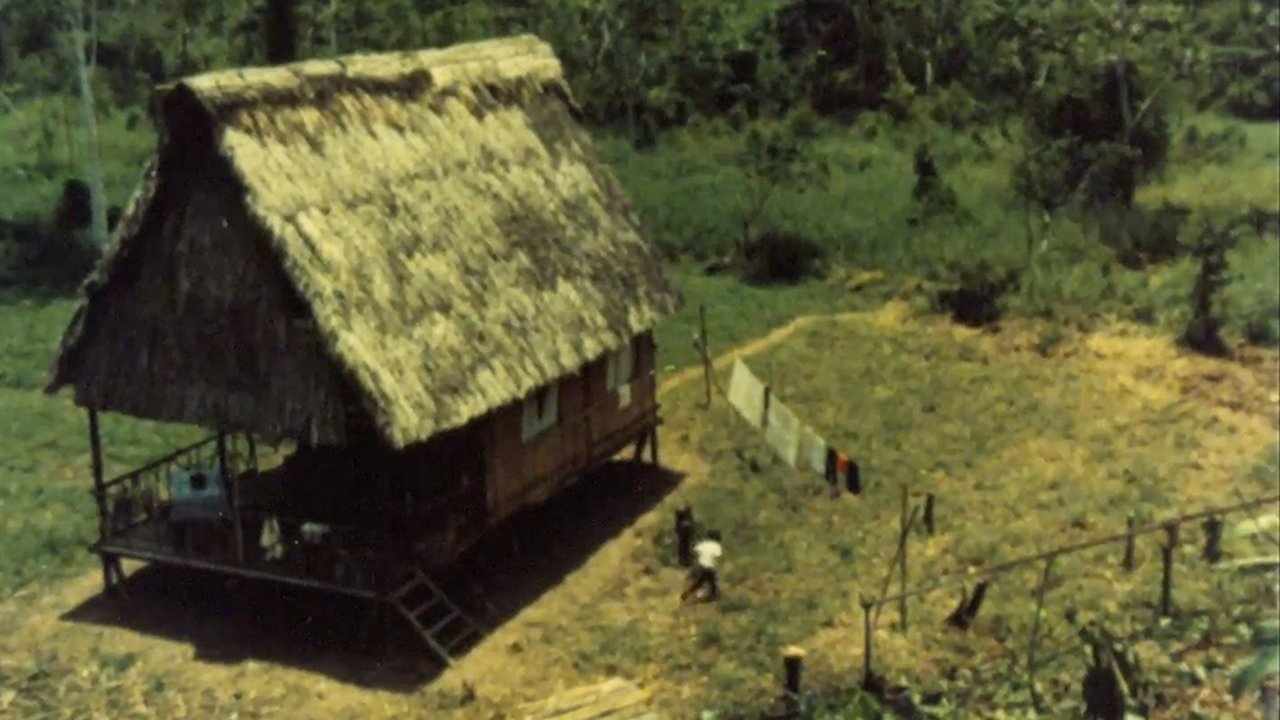 The Green Wall (1970)