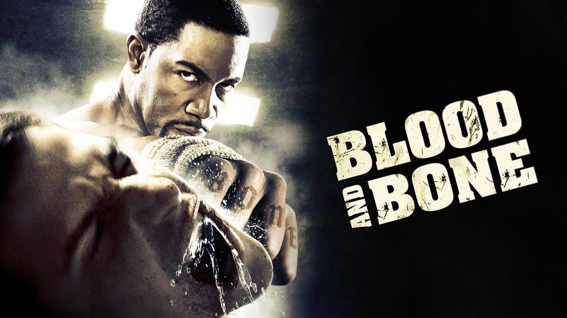 Blood and Bone (2009)