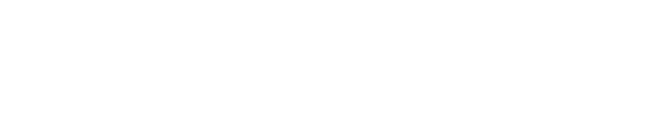 Vanguard Logo