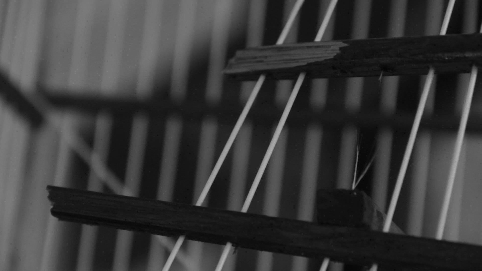 The Shadow of the Cage