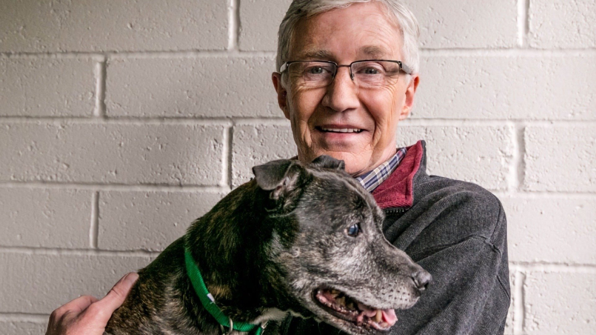 Paul O'Grady, pour l'amour des chiens - Épisode 1