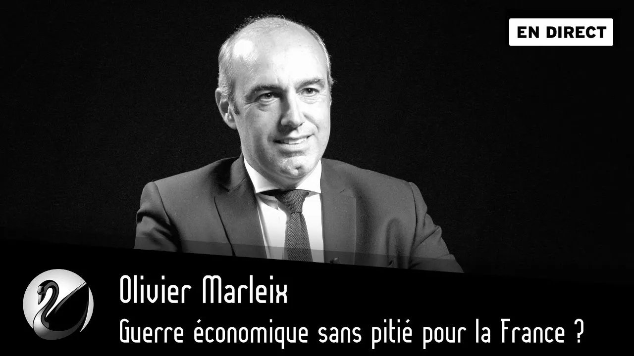 Thinkerview - Guerre économique sans pitié pour la France ? Olivier Marleix