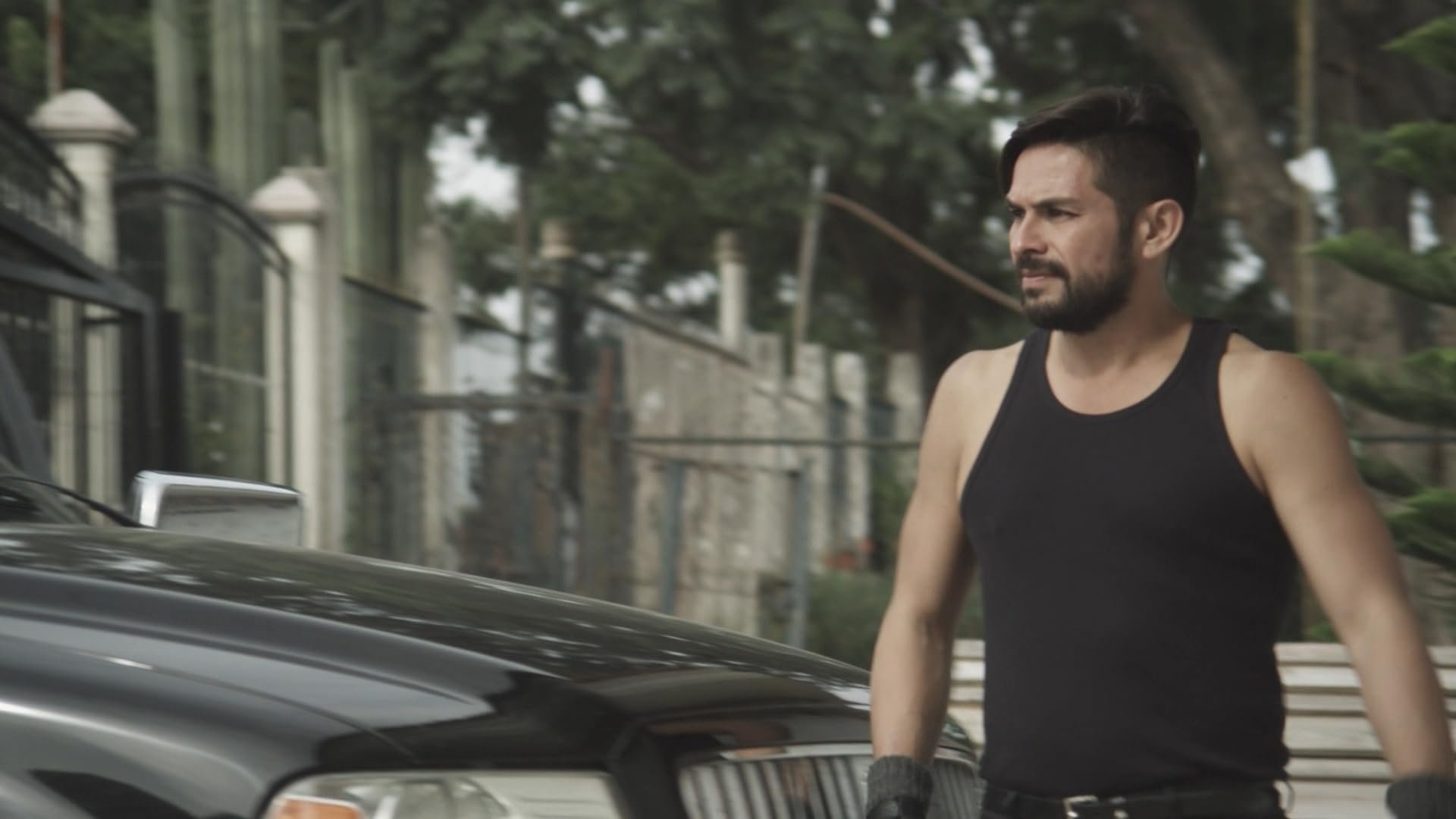 El buen ejemplo (2014)
