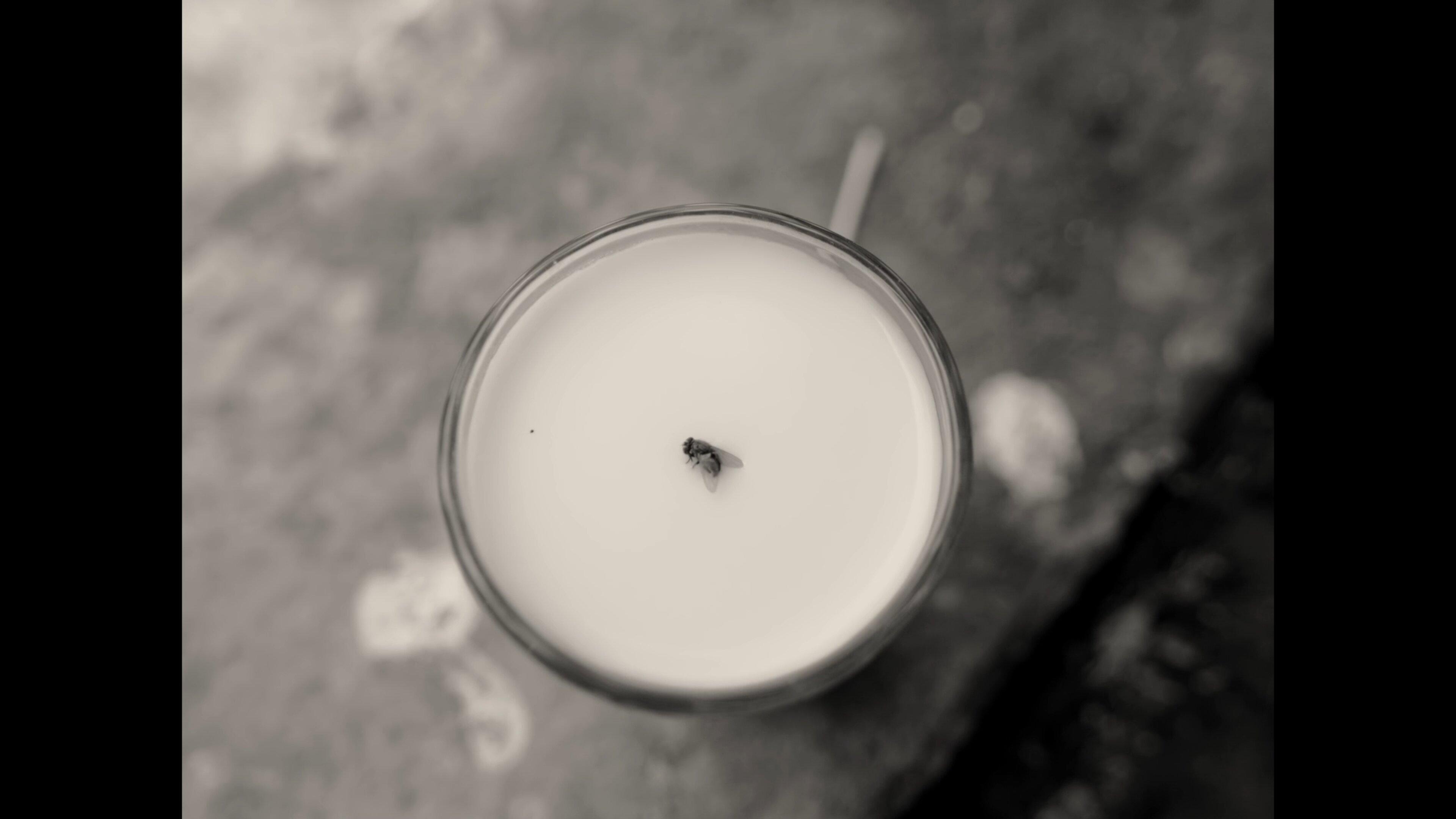 A Fly Floating In The Midst Of The Milk (2023)