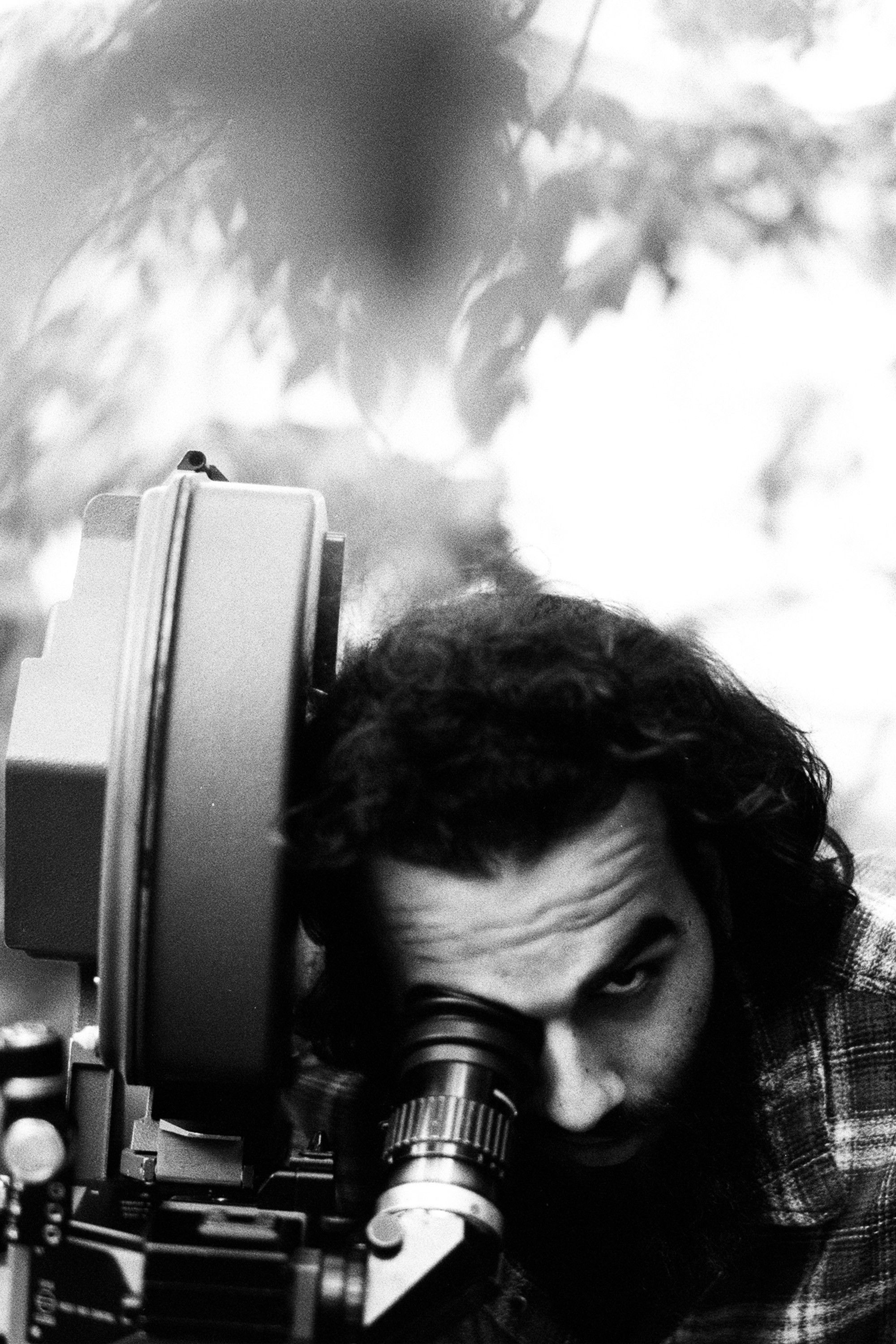 Et billede af Dylan Poihipi