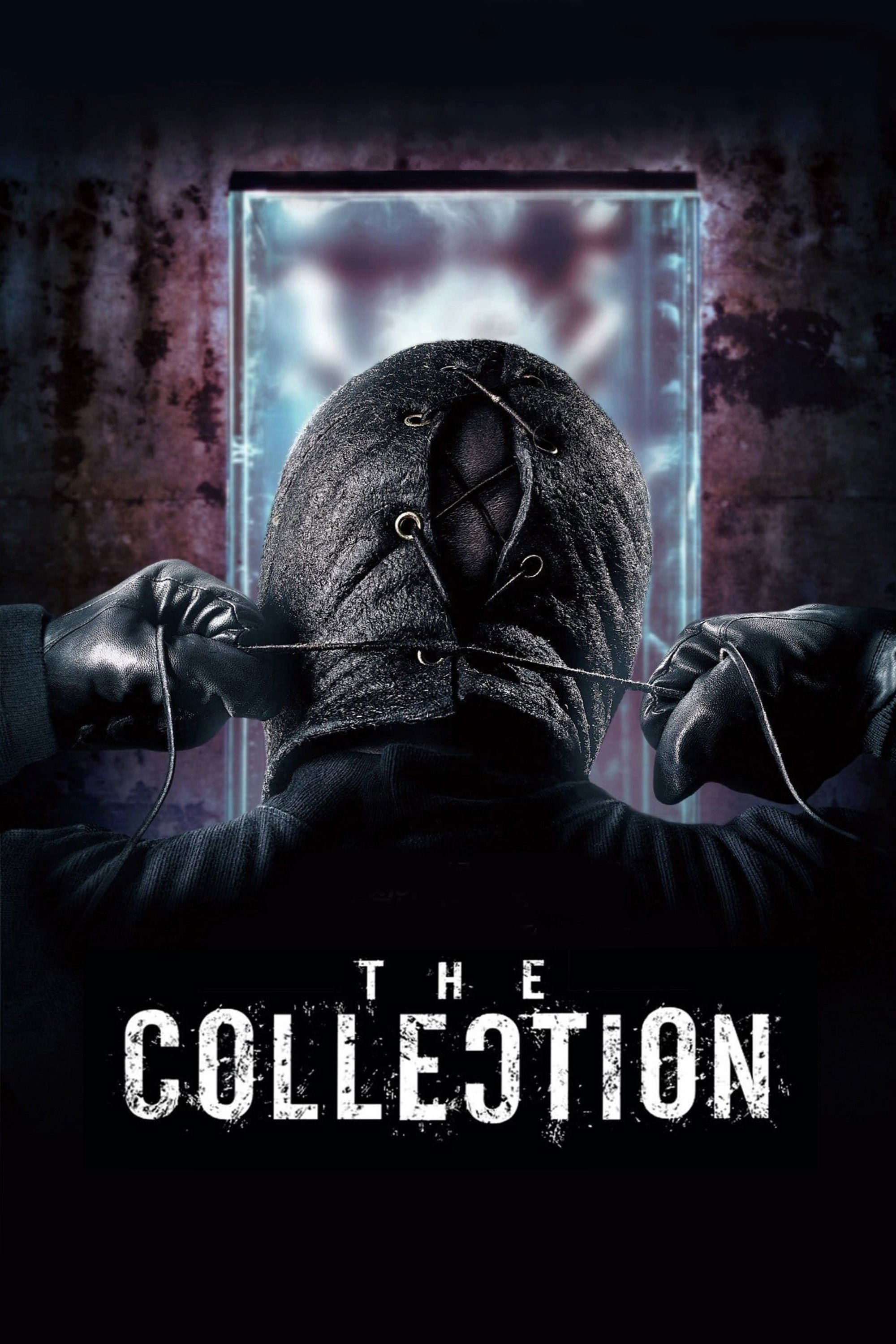 The Collection