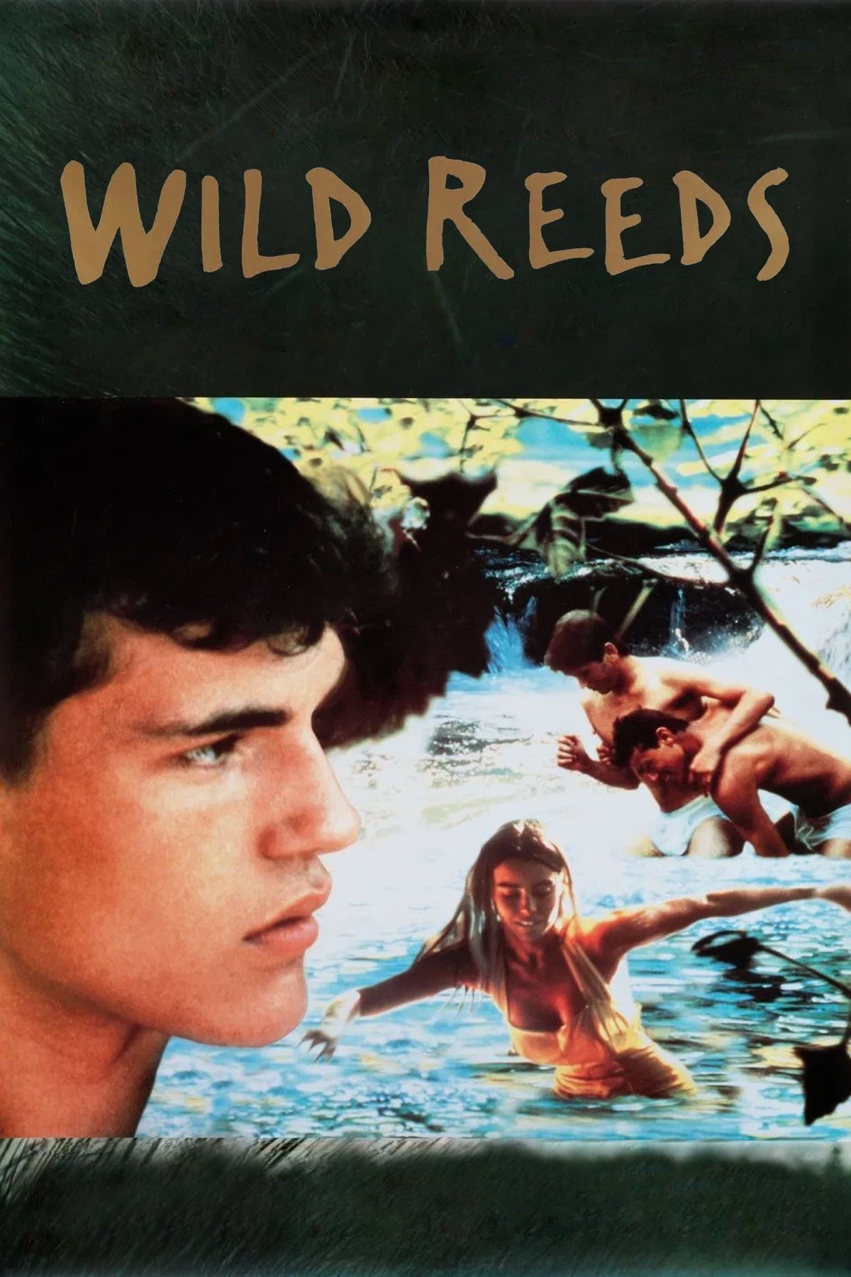 Wild Reeds